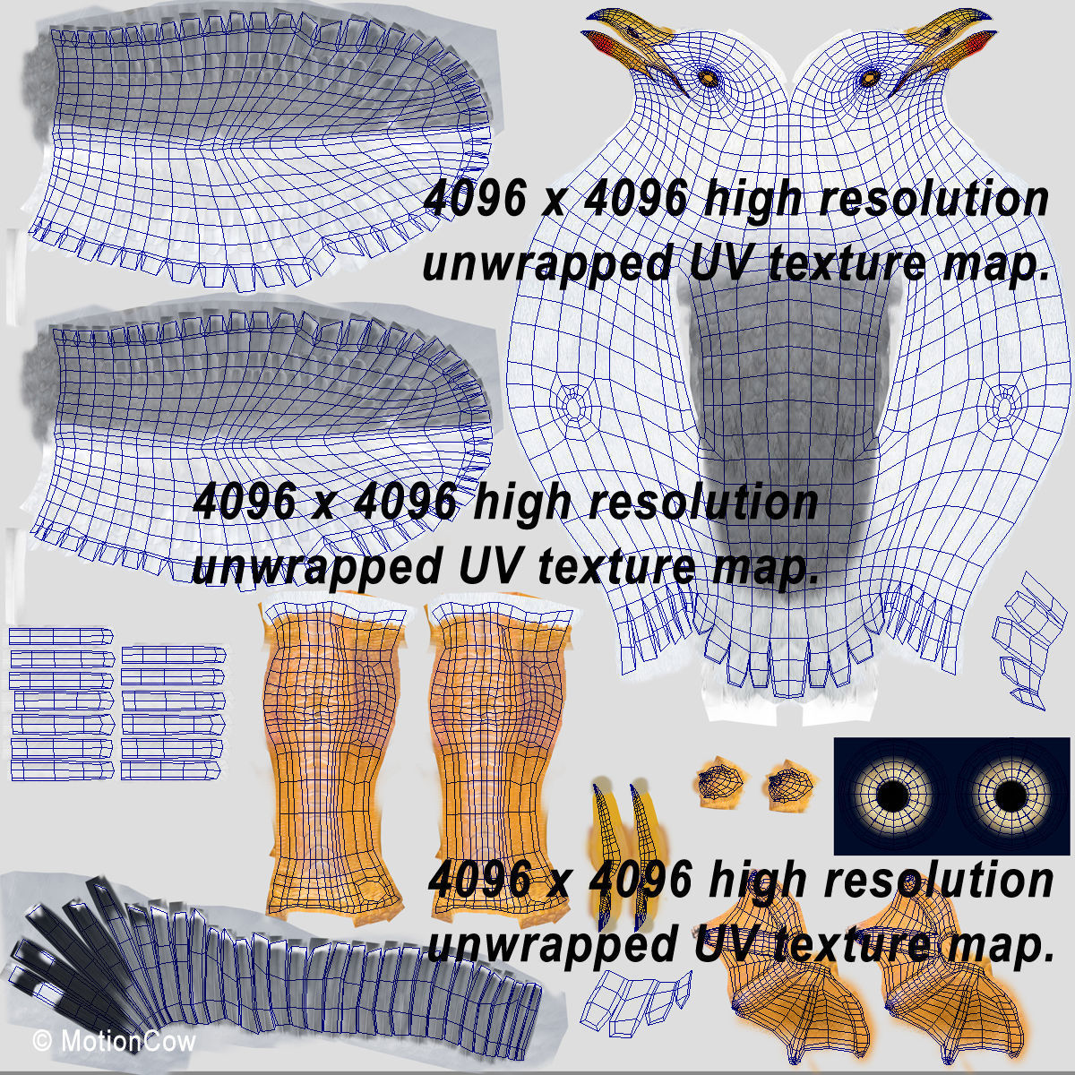 Seagull - Flight 3D model_21