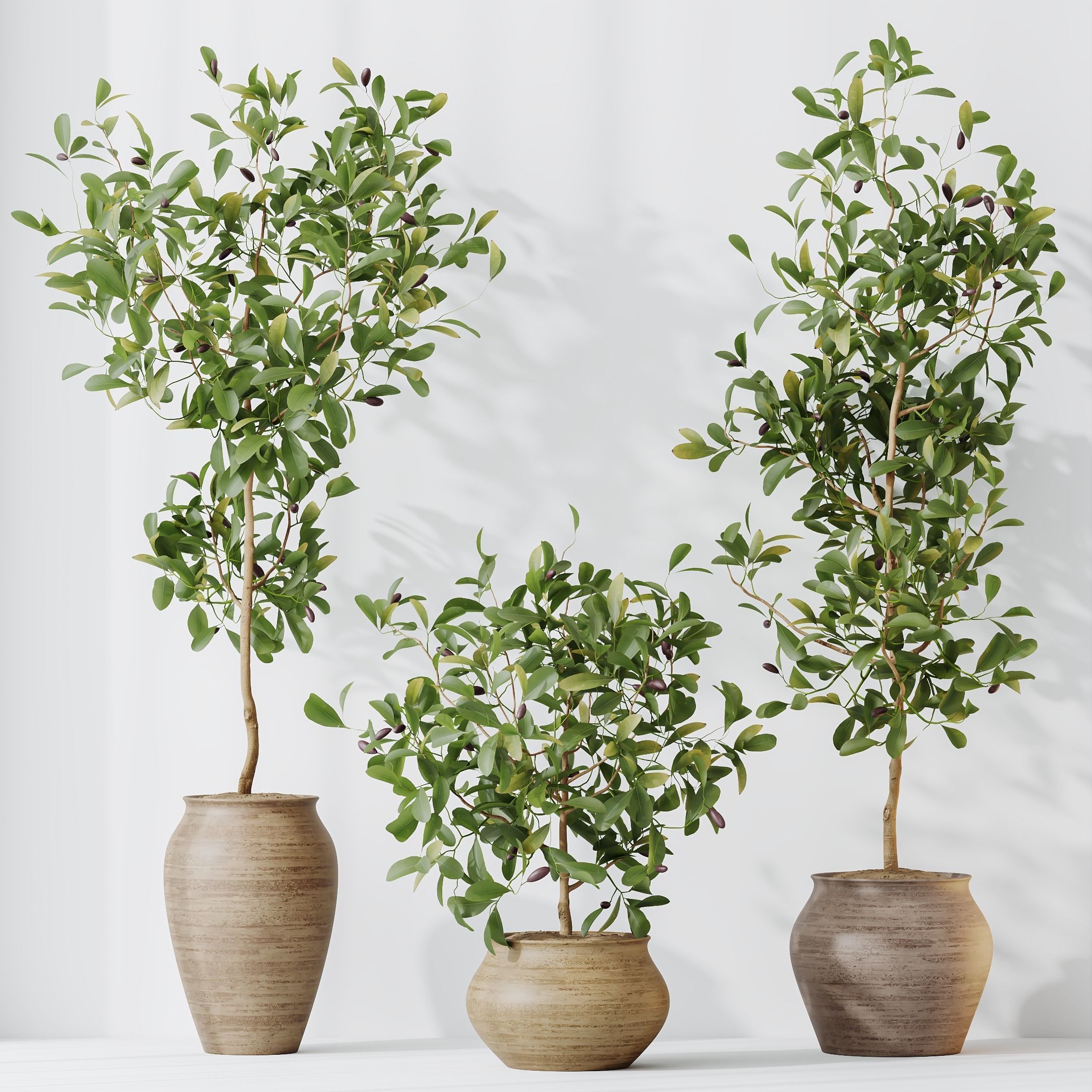 HousePlants Briful Pachira Aquatica Grand Artificiel Set02 3D model_4