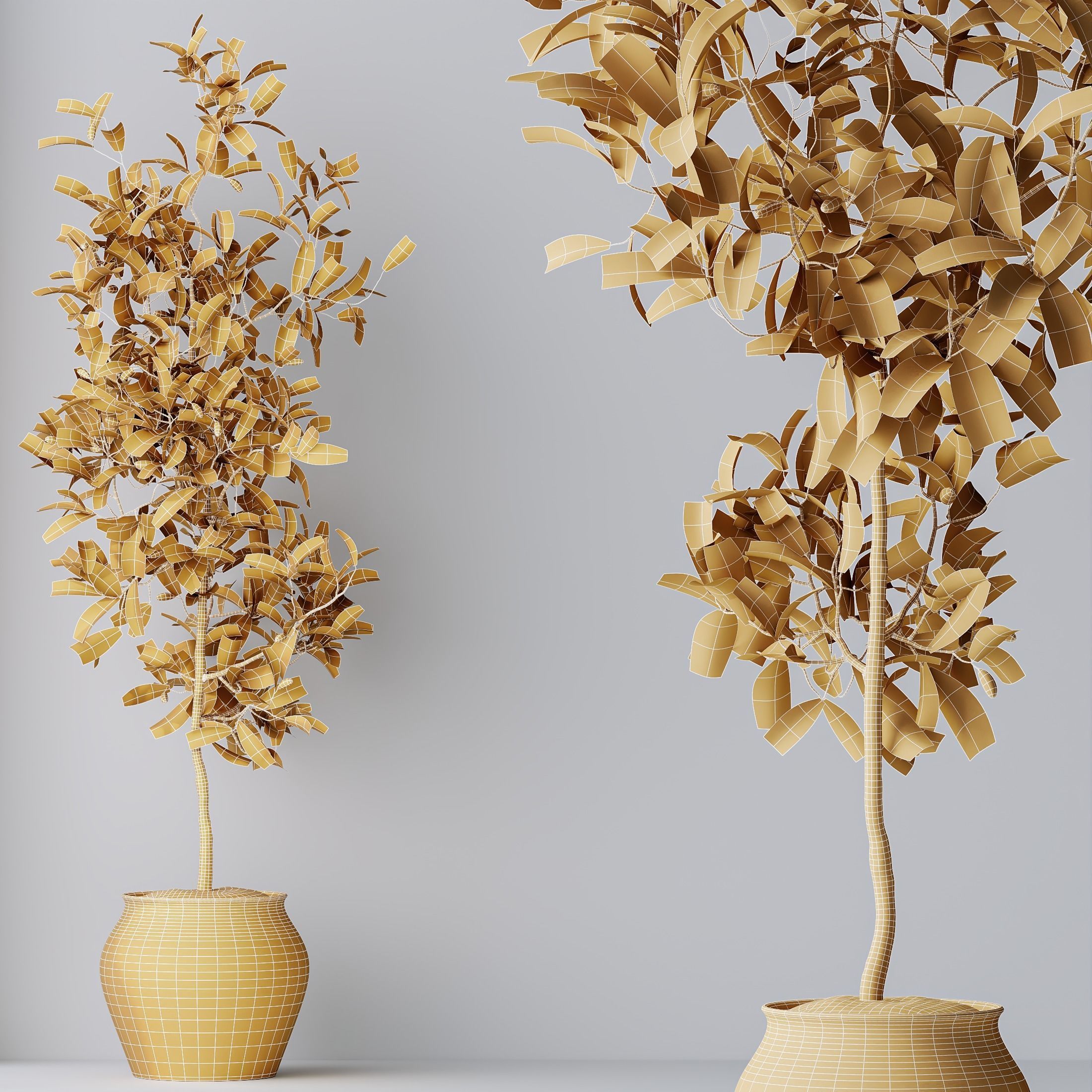 HousePlants Briful Pachira Aquatica Grand Artificiel Set02 3D model_5