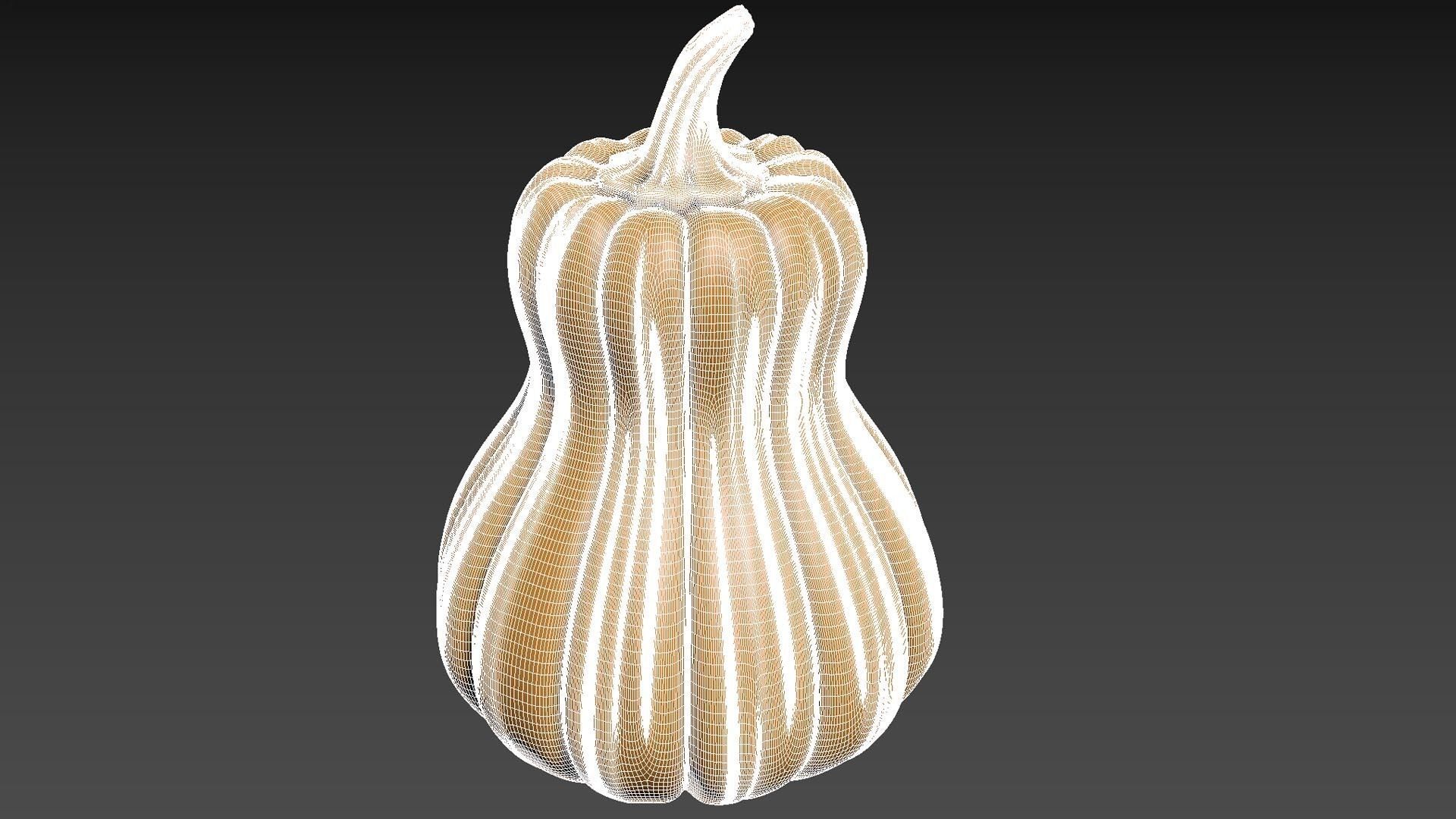 Pumpkin Vegetable2 3D print model_8