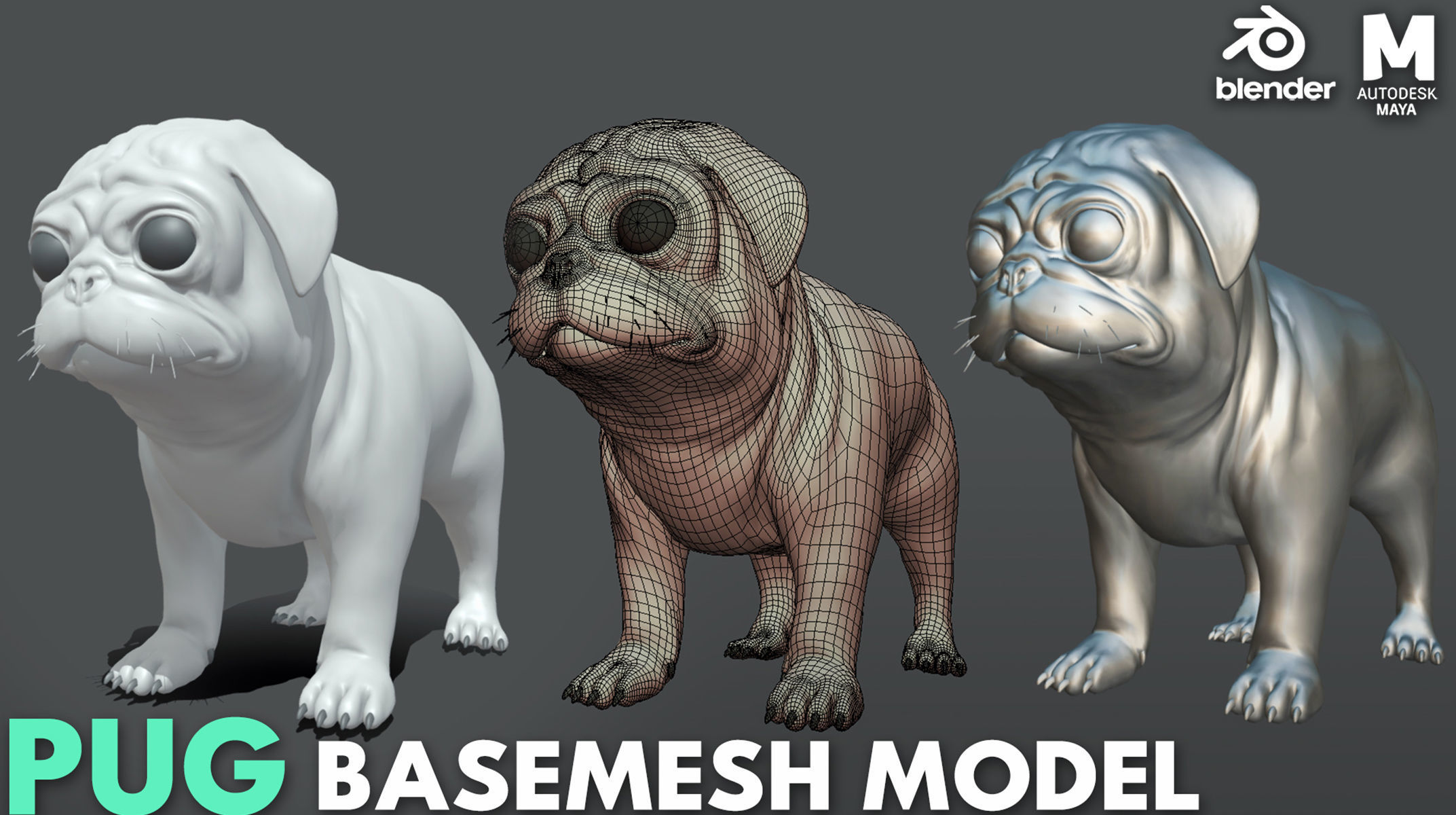 7 Mega Dog BaseMesh Pack 3D Model Collection_11
