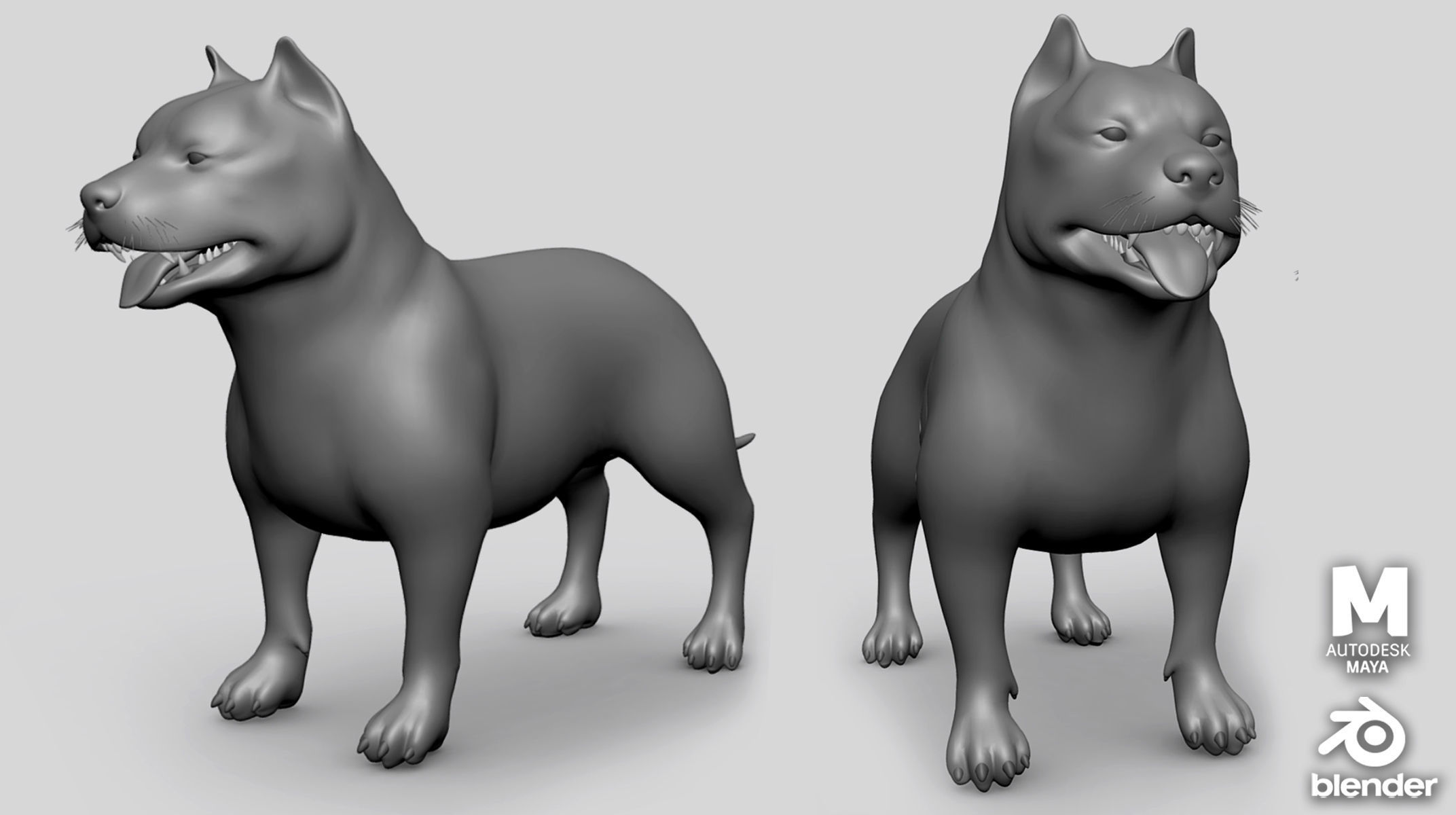 7 Mega Dog BaseMesh Pack 3D Model Collection_8
