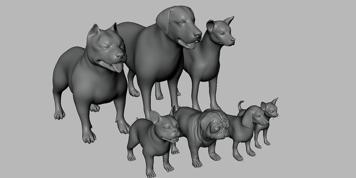 7 Mega Dog BaseMesh Pack 3D Model Collection_2
