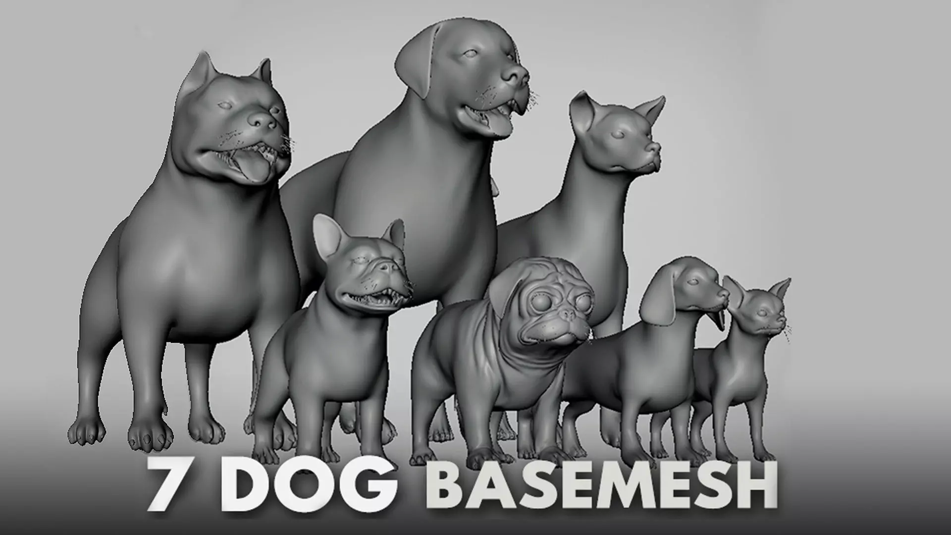 7 Mega Dog BaseMesh Pack 3D Model Collection_0