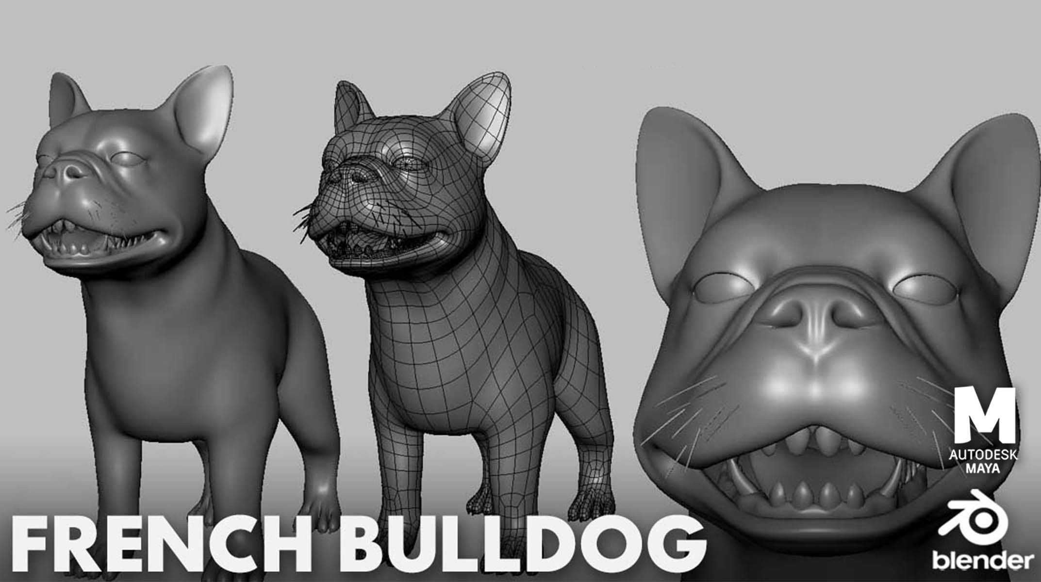7 Mega Dog BaseMesh Pack 3D Model Collection_10
