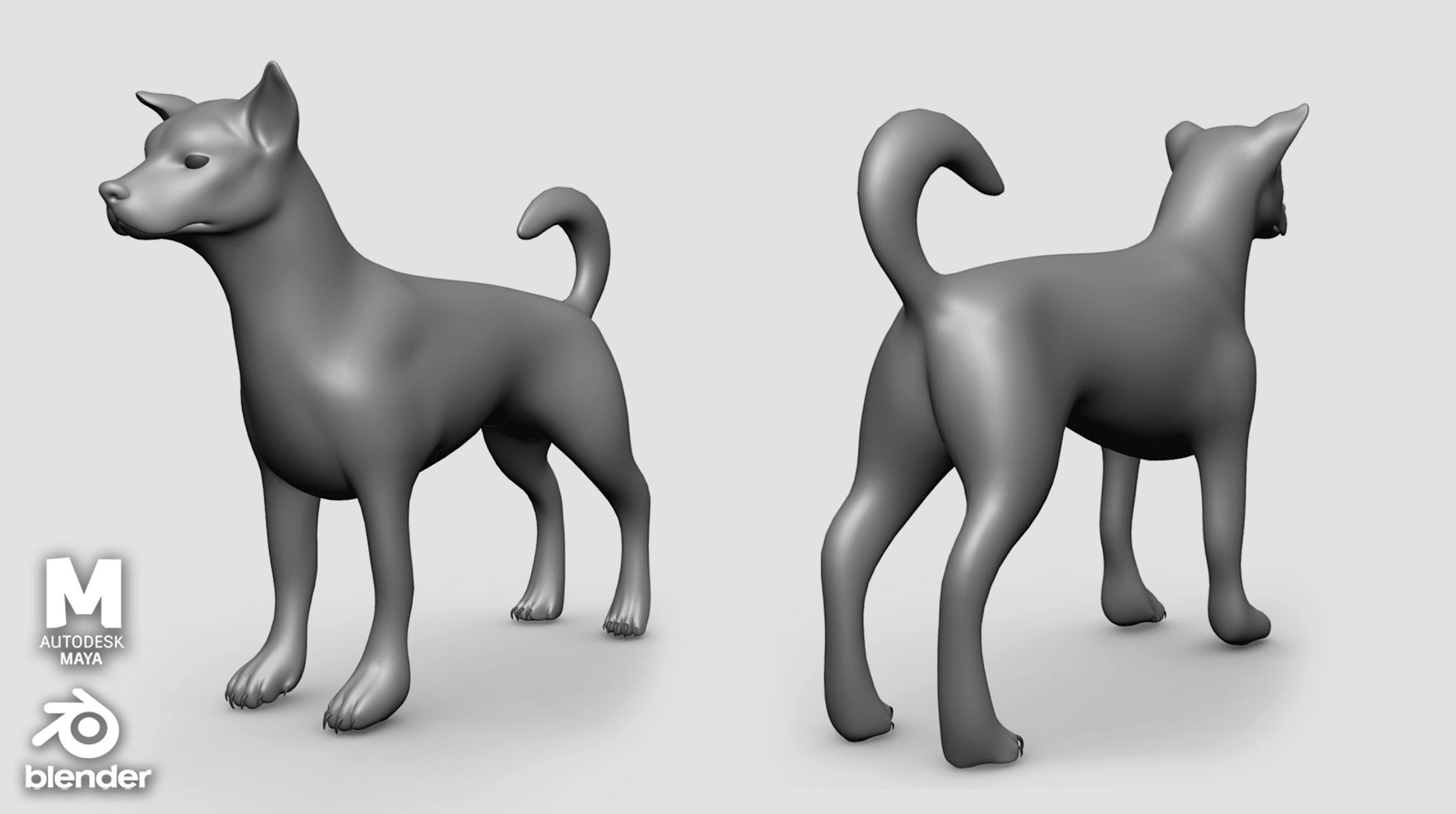 7 Mega Dog BaseMesh Pack 3D Model Collection_12