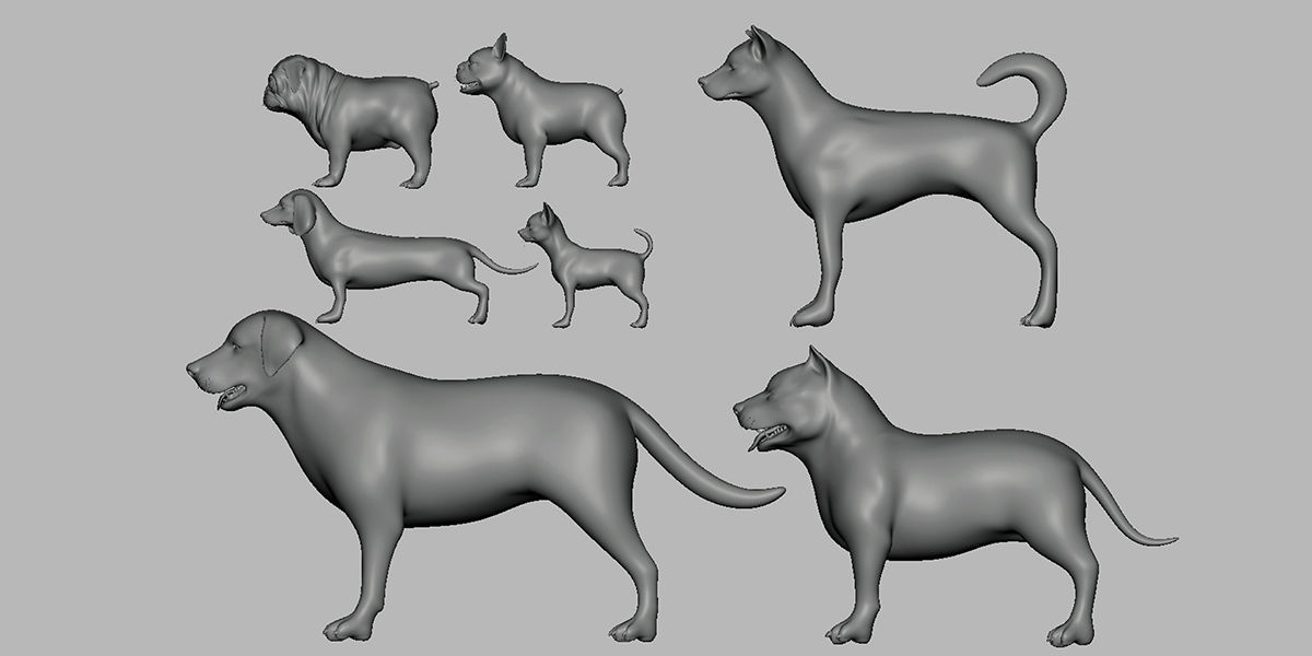 7 Mega Dog BaseMesh Pack 3D Model Collection_4