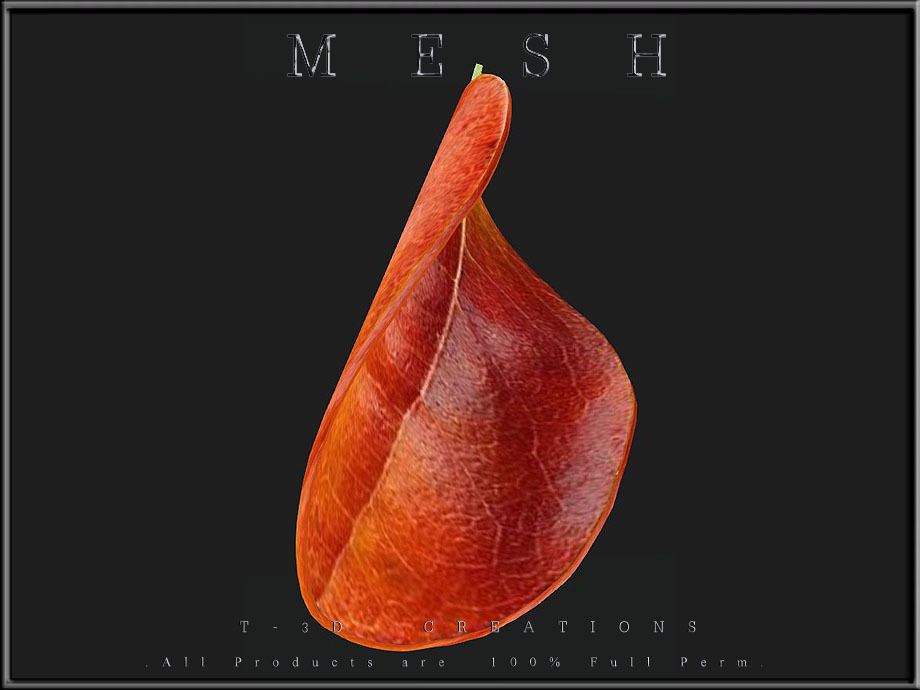 Autumn orange leaf - Curved Low-poly 3D model_1