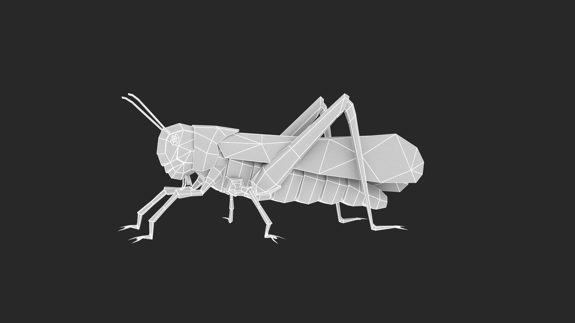 Animated Locust Grasshopper Low-poly 3D model_3
