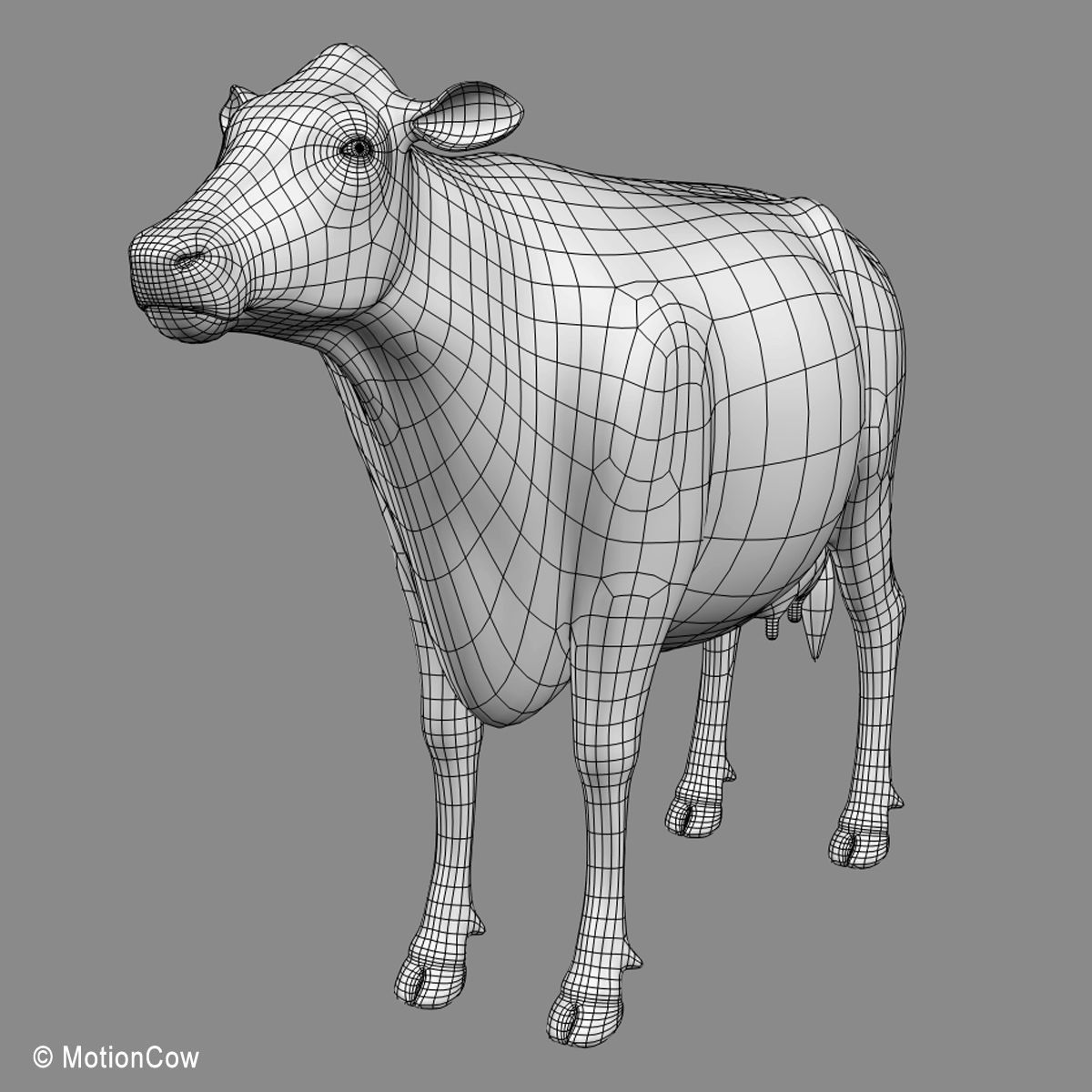 Cow Holstein 3D model_27