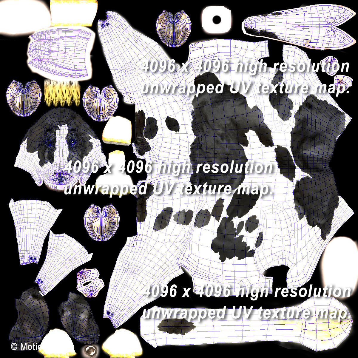 Cow Holstein 3D model_29