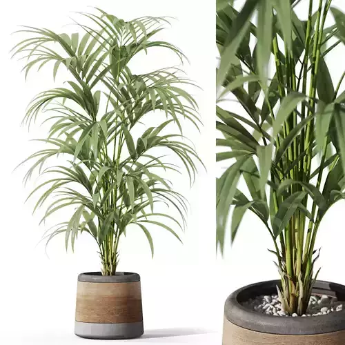 Plants collection 1092 3D model