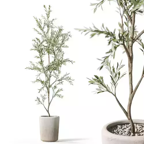 Plants collection 1093 3D model