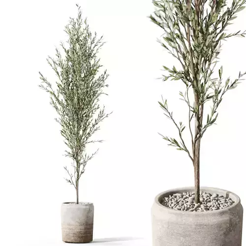 Plants collection 1094 3D model