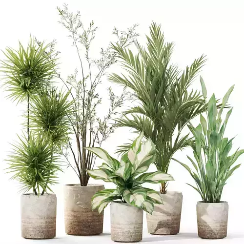 Plants collection 1101 3D model