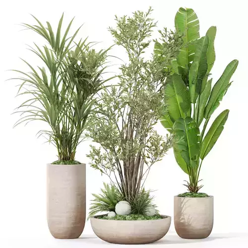 Plants collection 1102 3D model