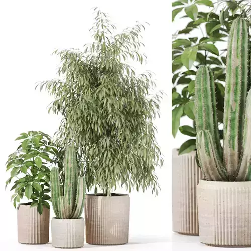 Plants collection 1103 3D model