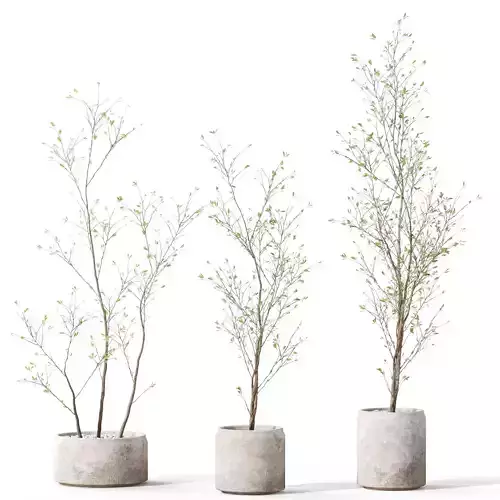 Plants collection 1105 3D model