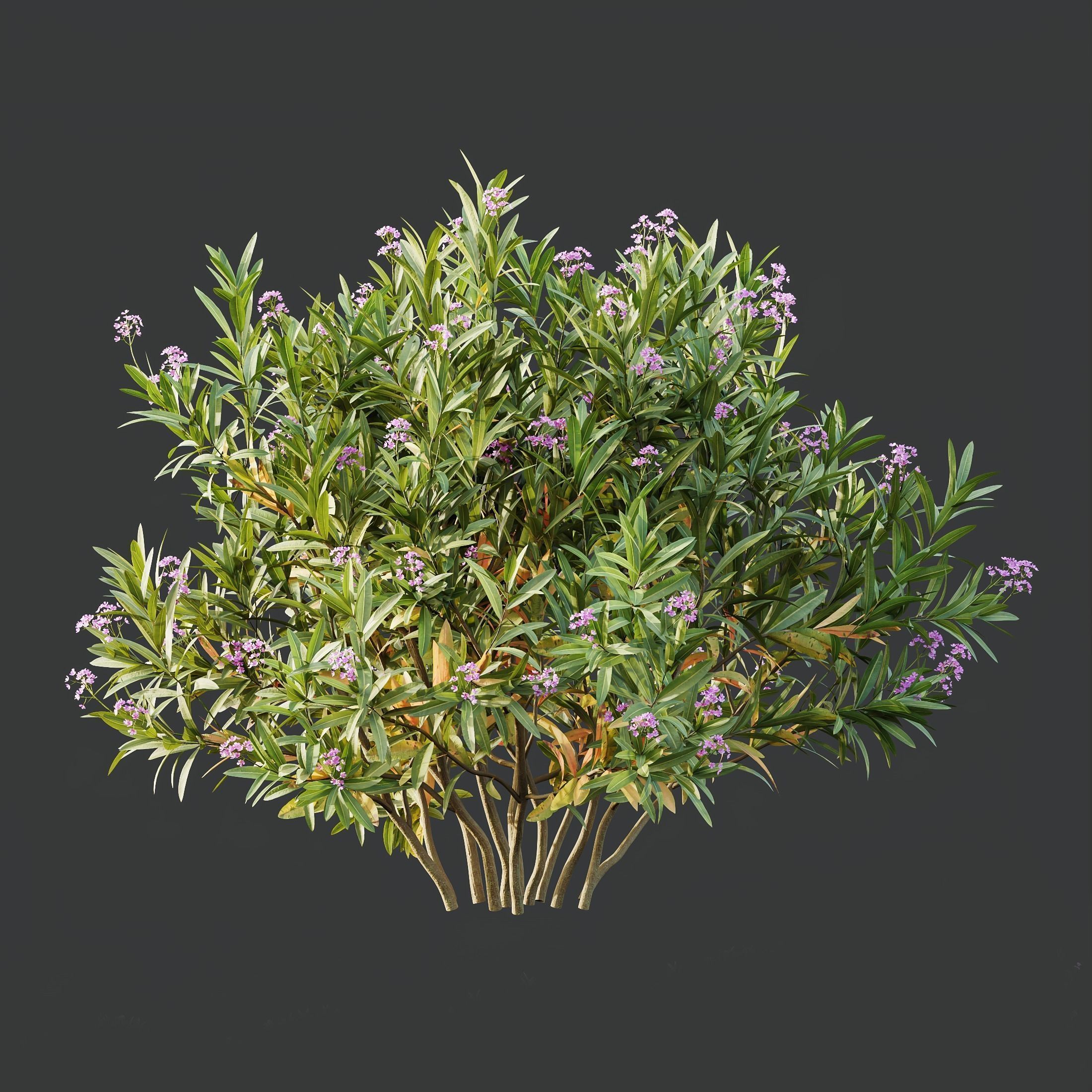 6 Different SETS of Plant Bush SET VOL155 3D Model Collection_14