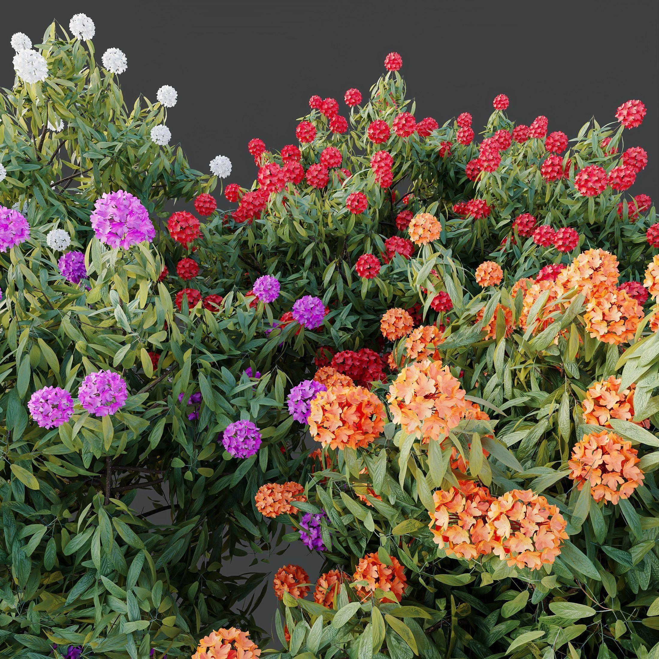 6 Different SETS of Plant Bush SET VOL155 3D Model Collection_7