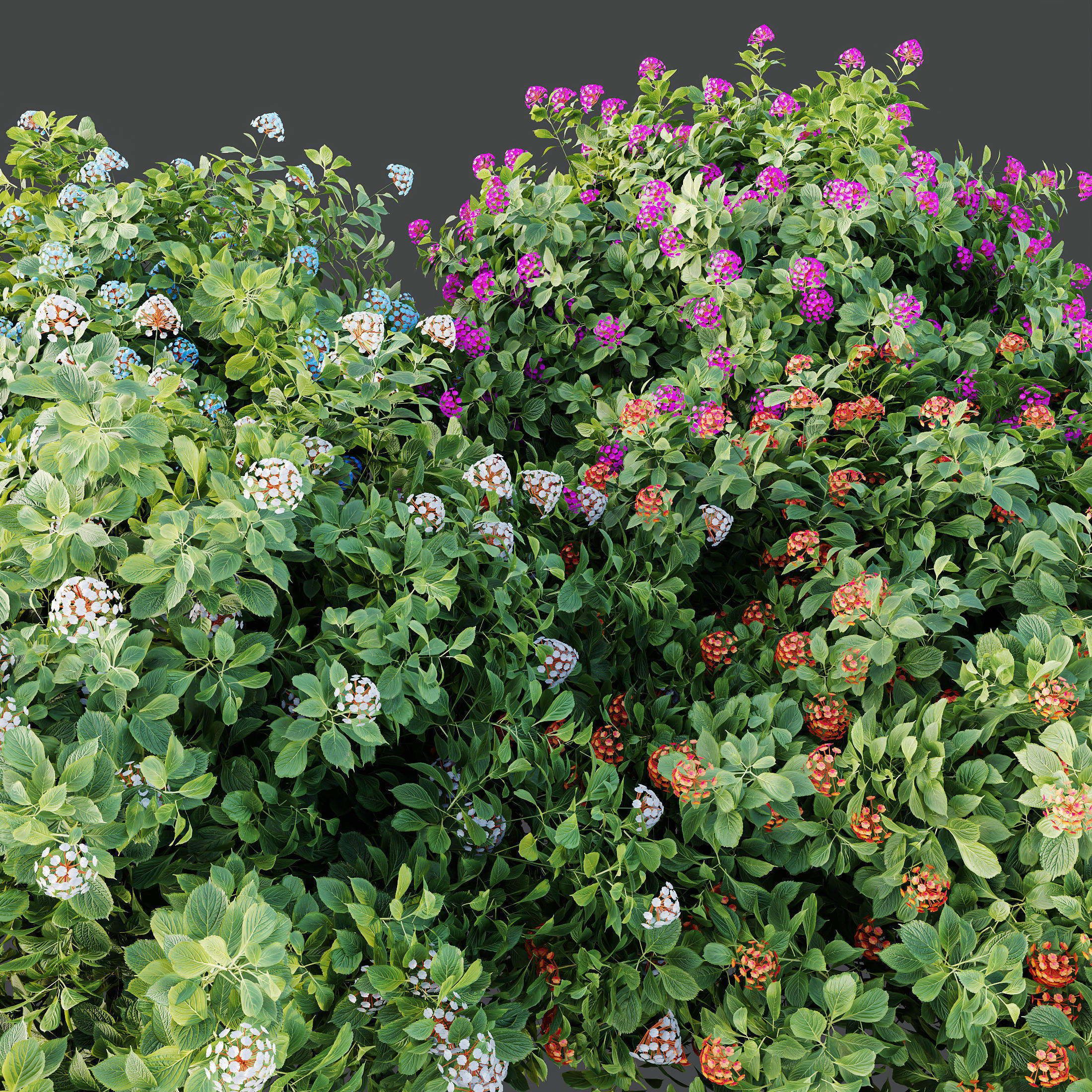 6 Different SETS of Plant Bush SET VOL155 3D Model Collection_11