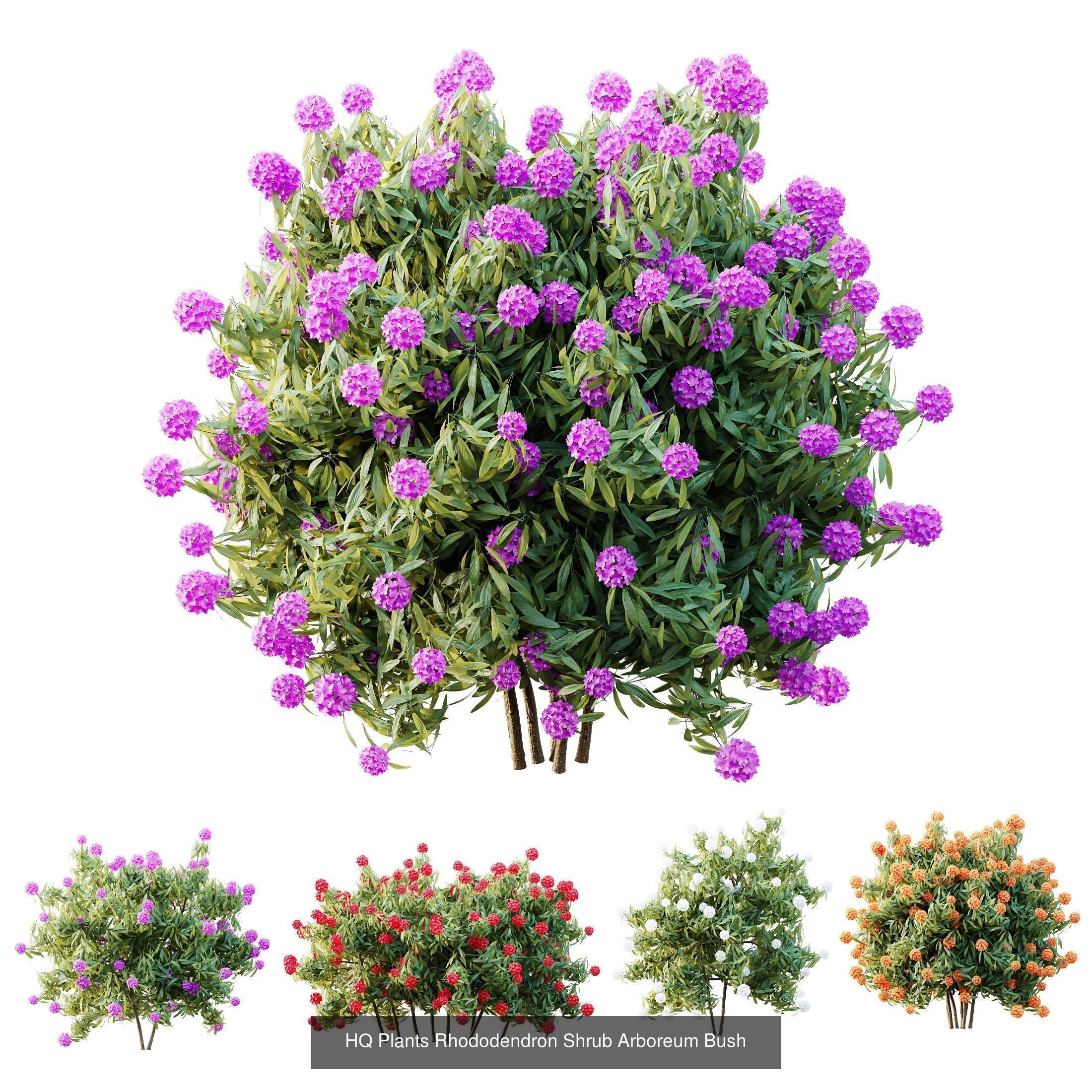 6 Different SETS of Plant Bush SET VOL155 3D Model Collection_6