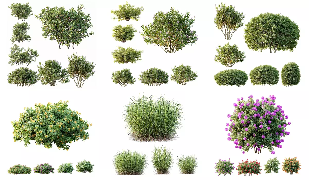 6 Different SETS of Plant Bush SET VOL155 3D Model Collection_0