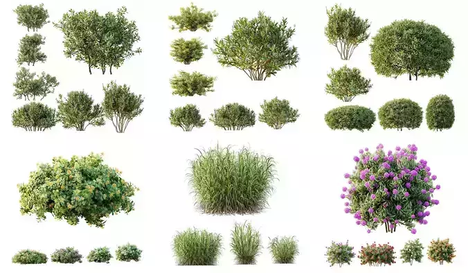 6 Different SETS of Plant Bush SET VOL155 3D Model Collection
