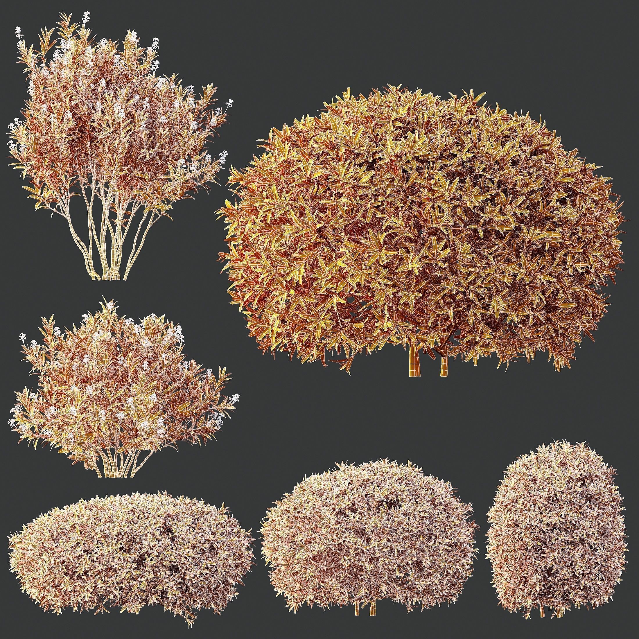 6 Different SETS of Plant Bush SET VOL155 3D Model Collection_24