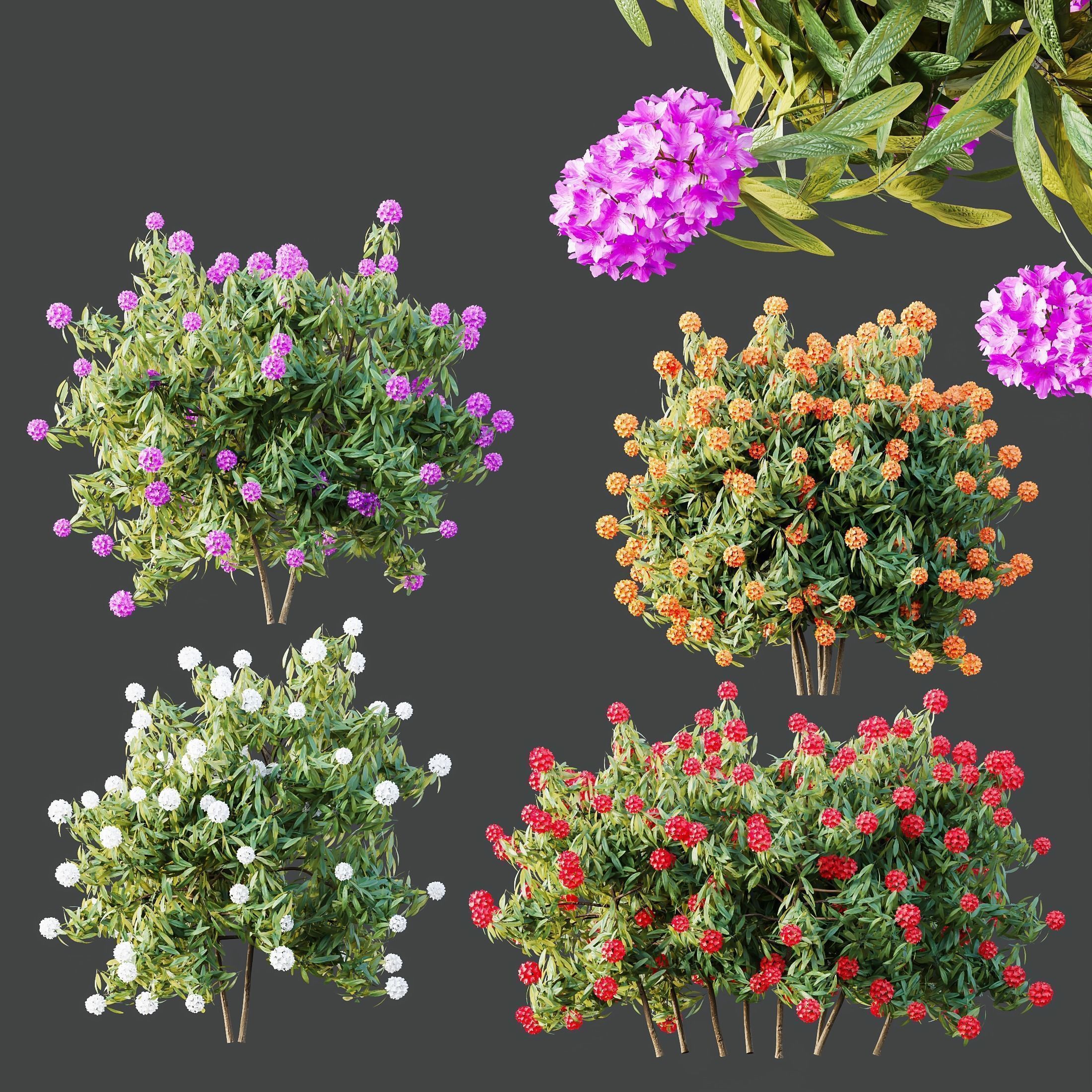 6 Different SETS of Plant Bush SET VOL155 3D Model Collection_8