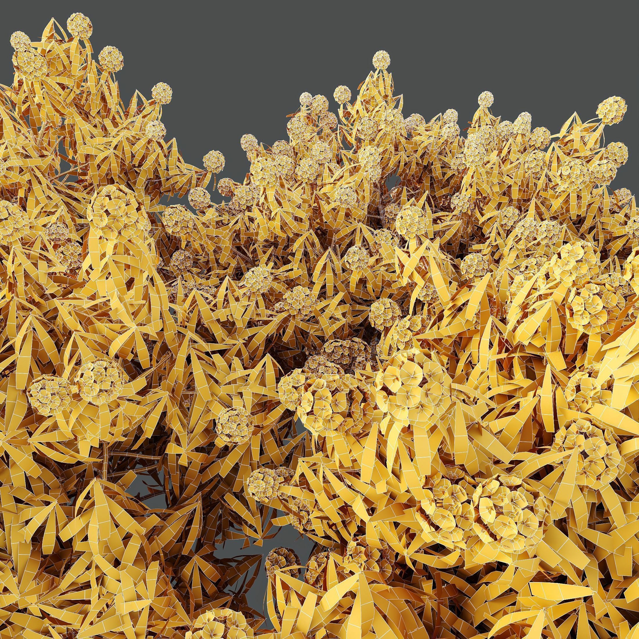 6 Different SETS of Plant Bush SET VOL155 3D Model Collection_25