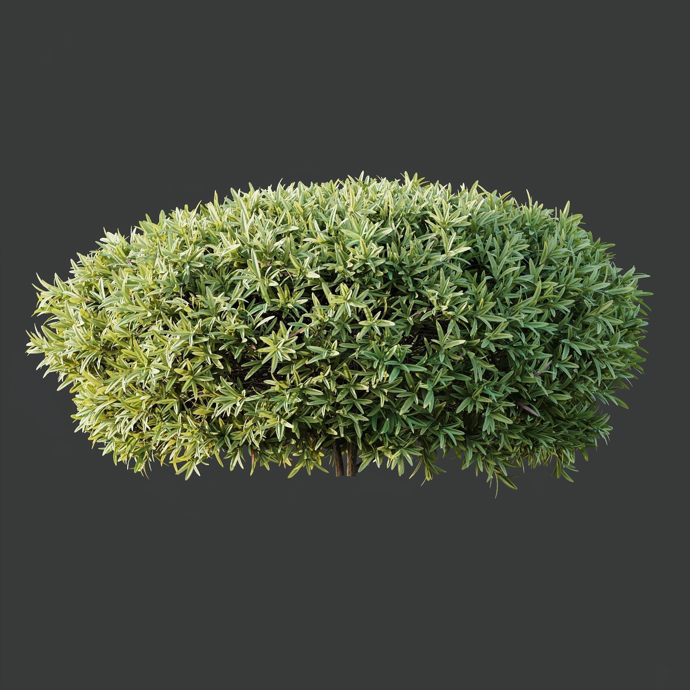 6 Different SETS of Plant Bush SET VOL155 3D Model Collection_12