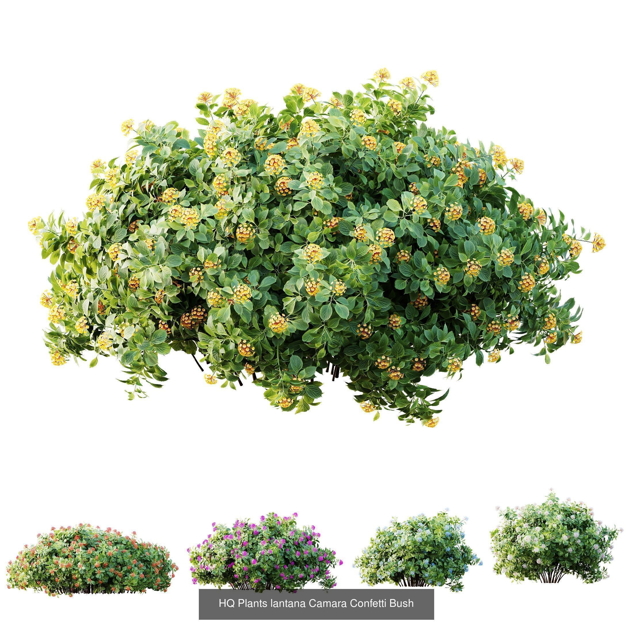 6 Different SETS of Plant Bush SET VOL155 3D Model Collection_4