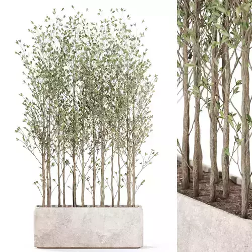 Plants collection 1107