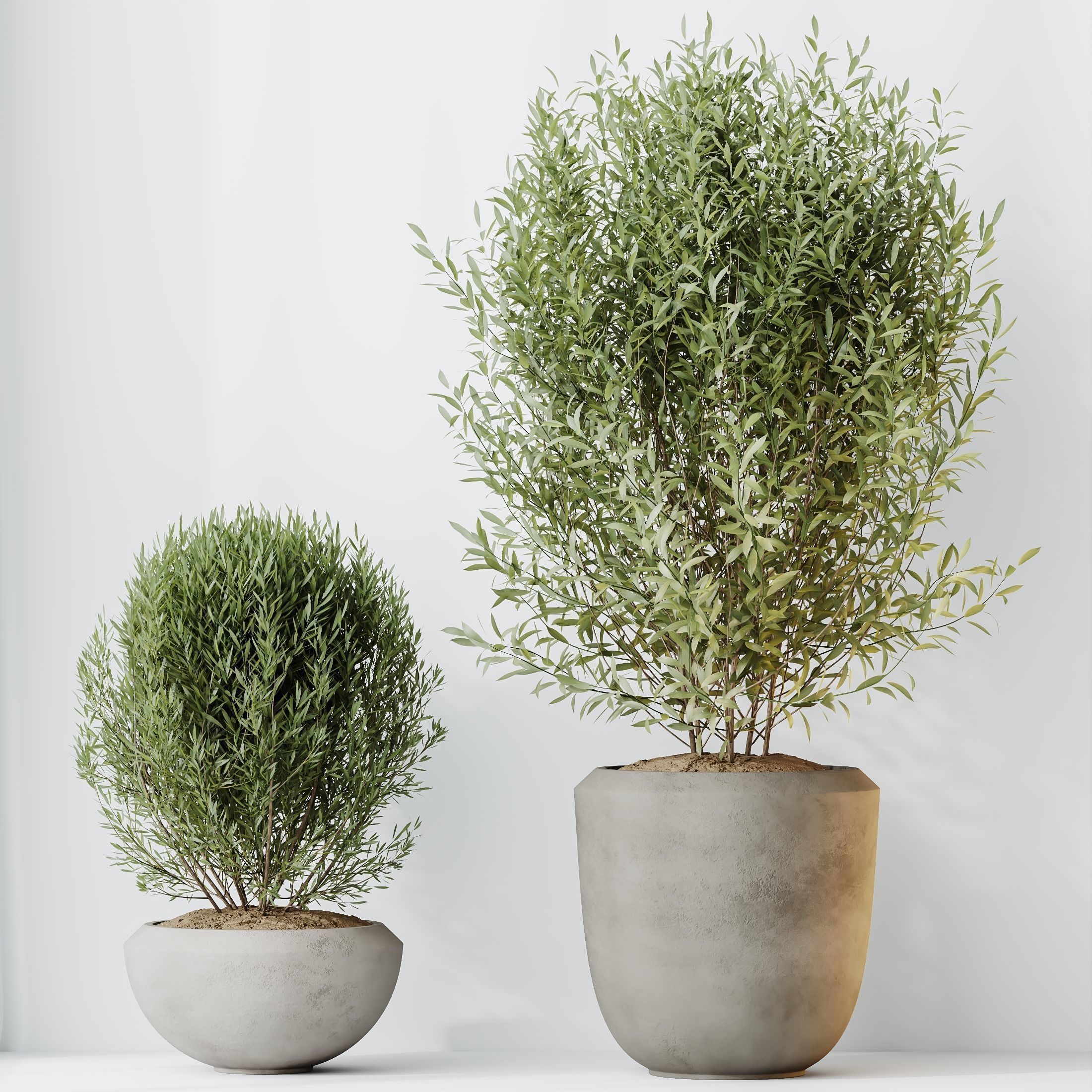 12 Different SETS of Plant Indoor SET VOL154 3D Model Collection_46