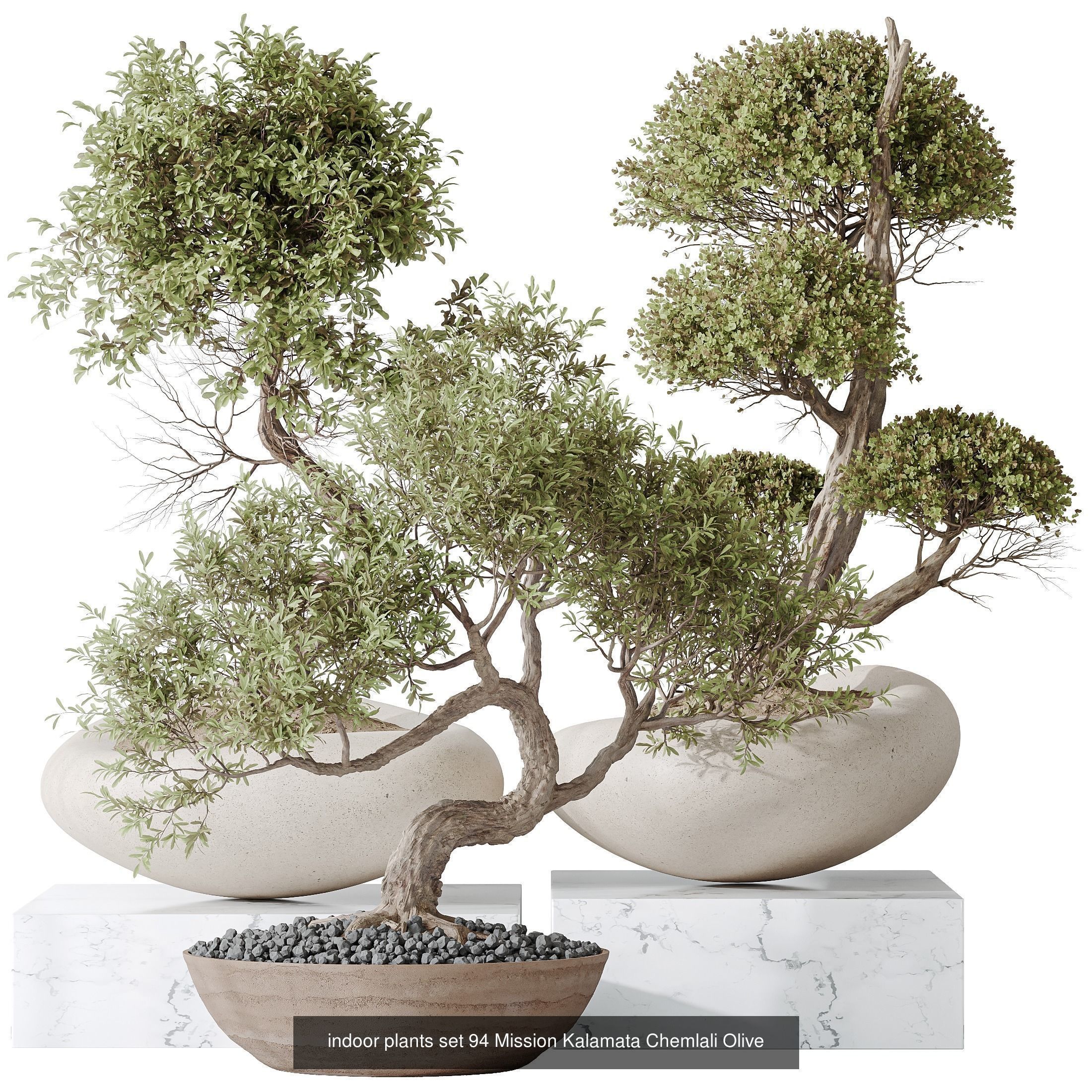 12 Different SETS of Plant Indoor SET VOL154 3D Model Collection_2