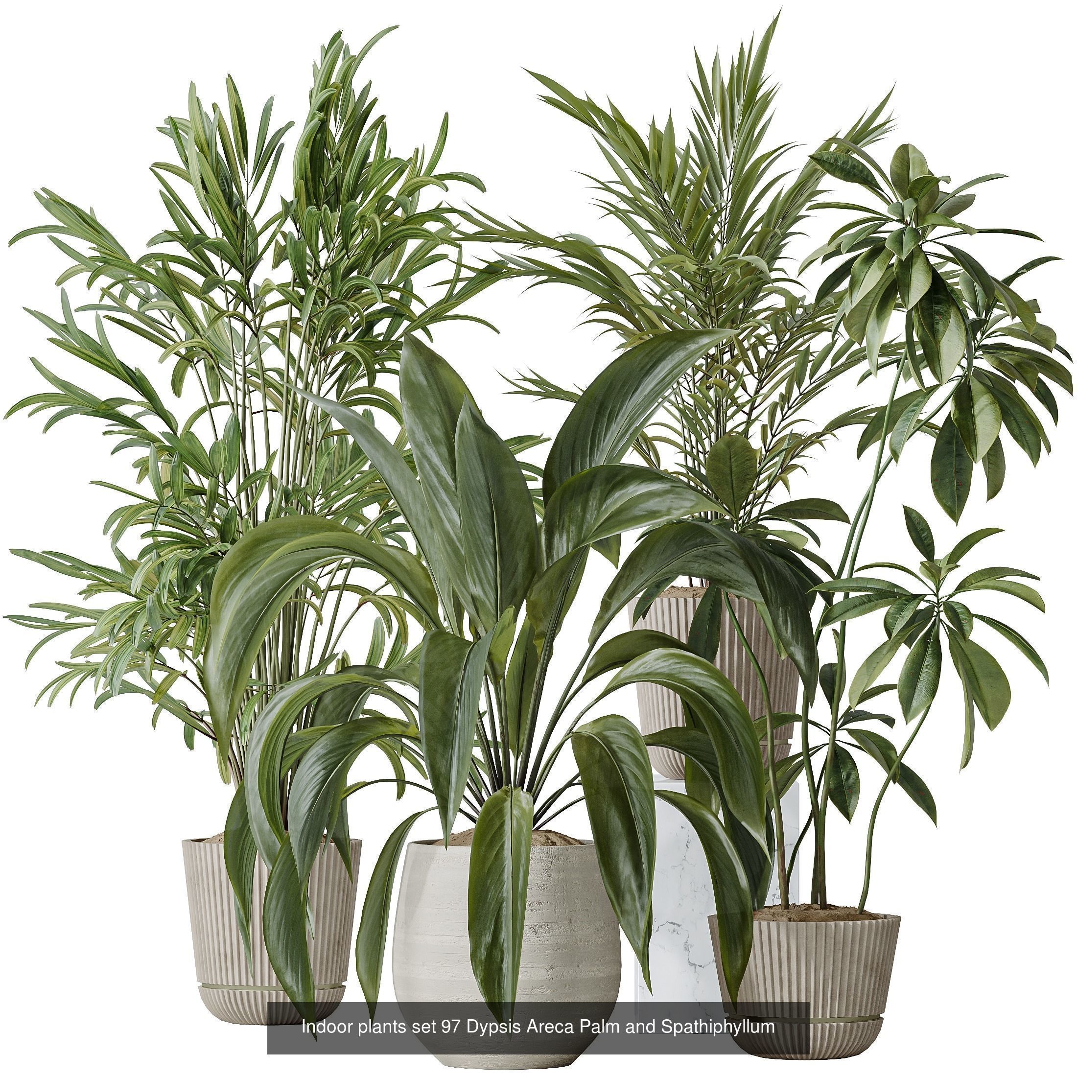 12 Different SETS of Plant Indoor SET VOL154 3D Model Collection_7