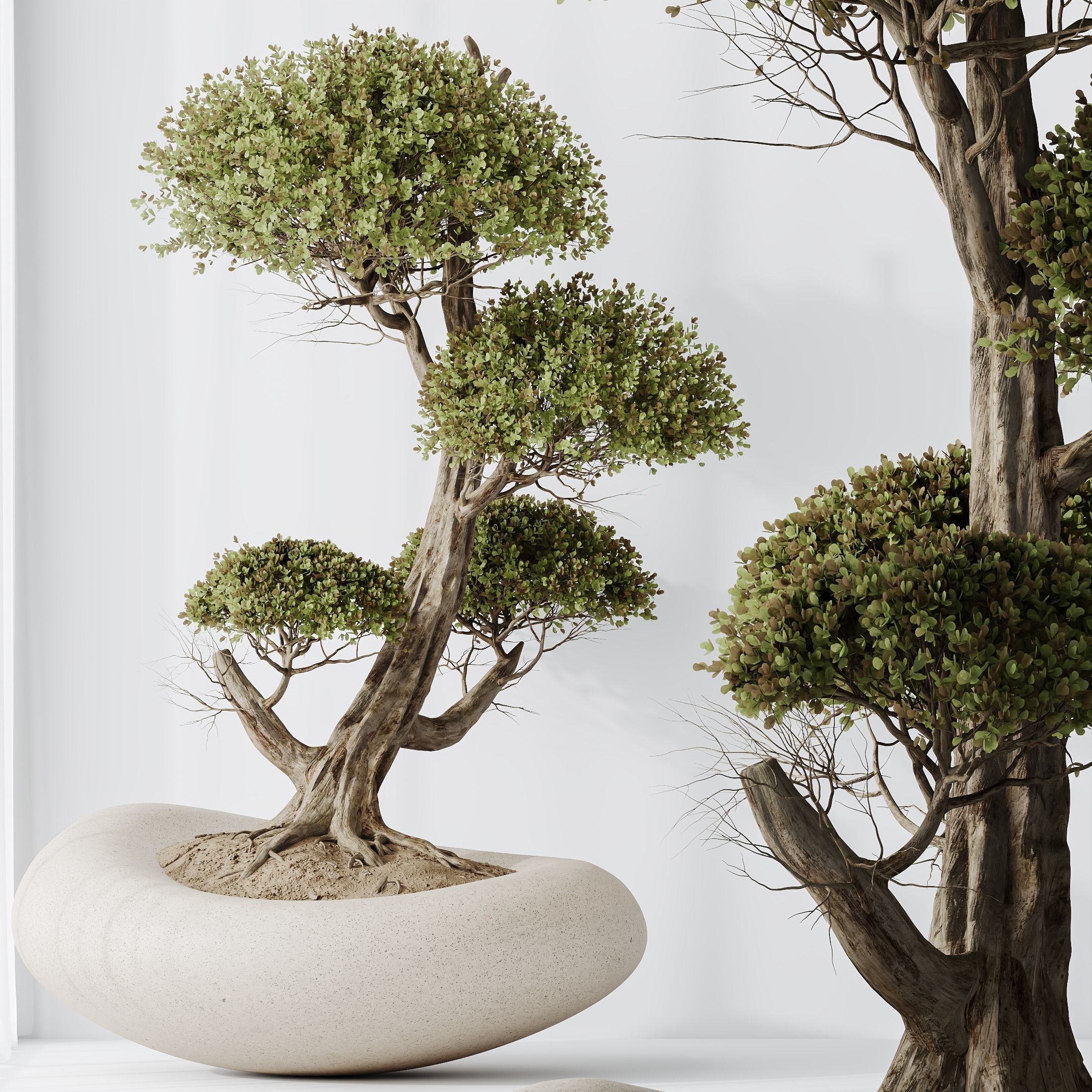 12 Different SETS of Plant Indoor SET VOL154 3D Model Collection_21