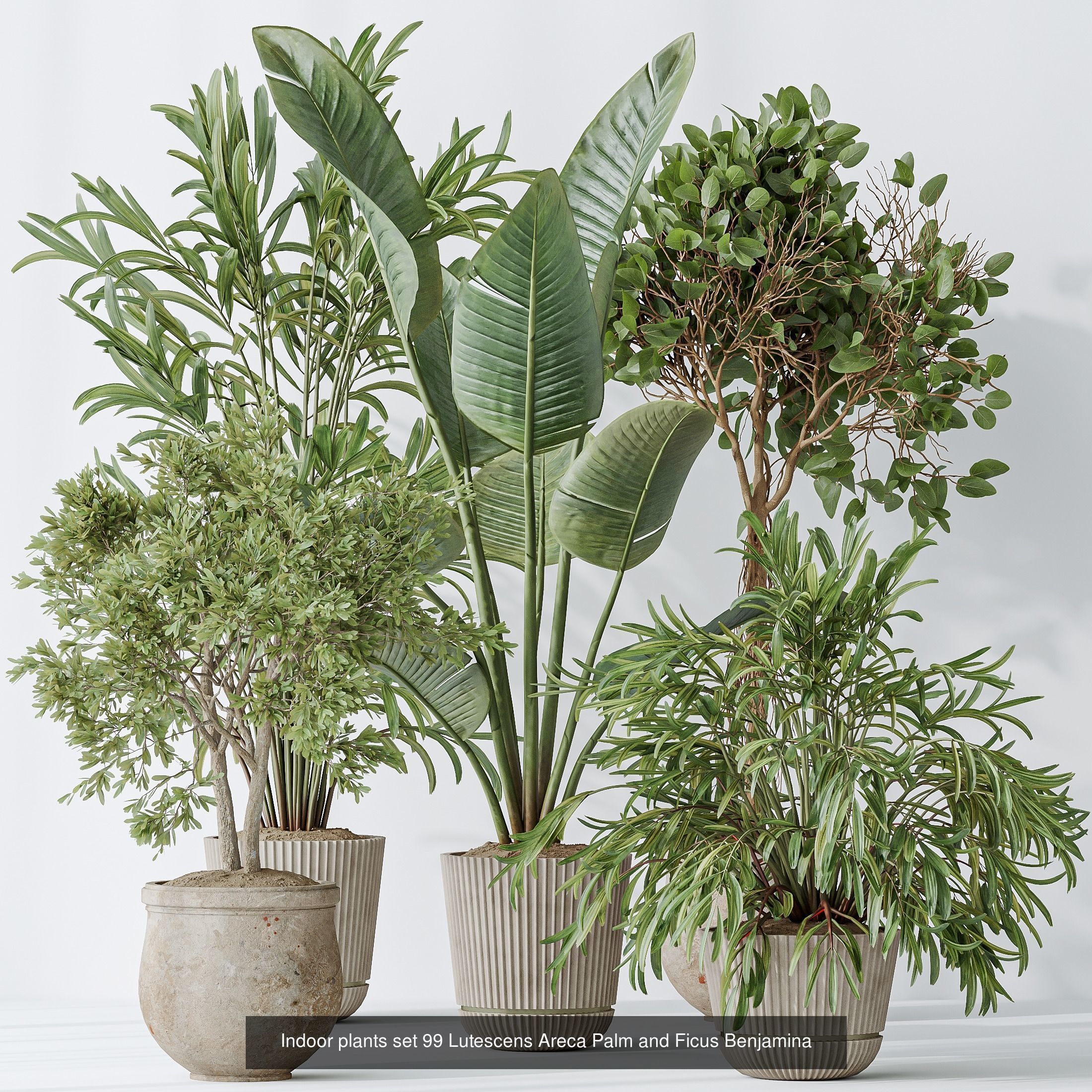 12 Different SETS of Plant Indoor SET VOL154 3D Model Collection_8