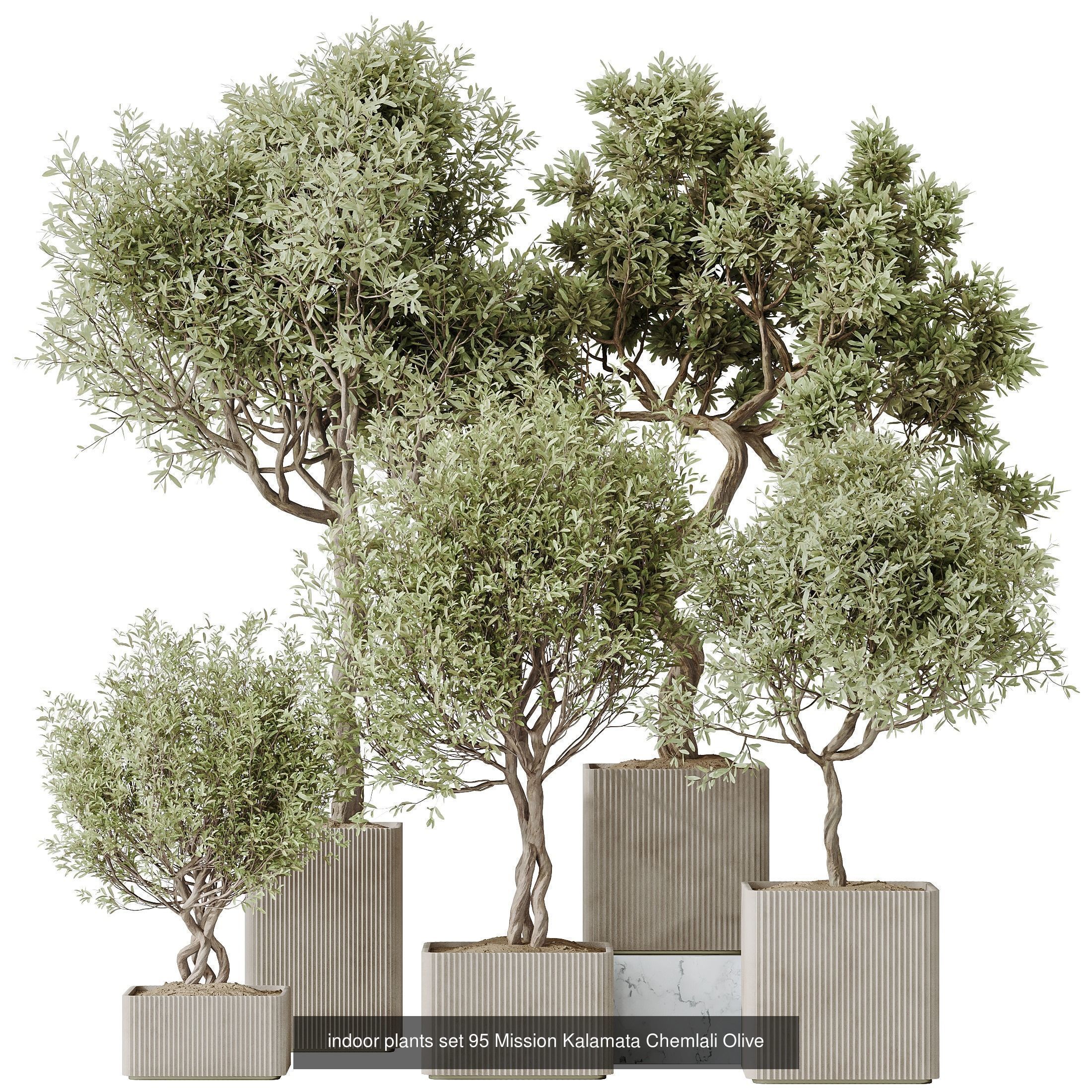 12 Different SETS of Plant Indoor SET VOL154 3D Model Collection_3