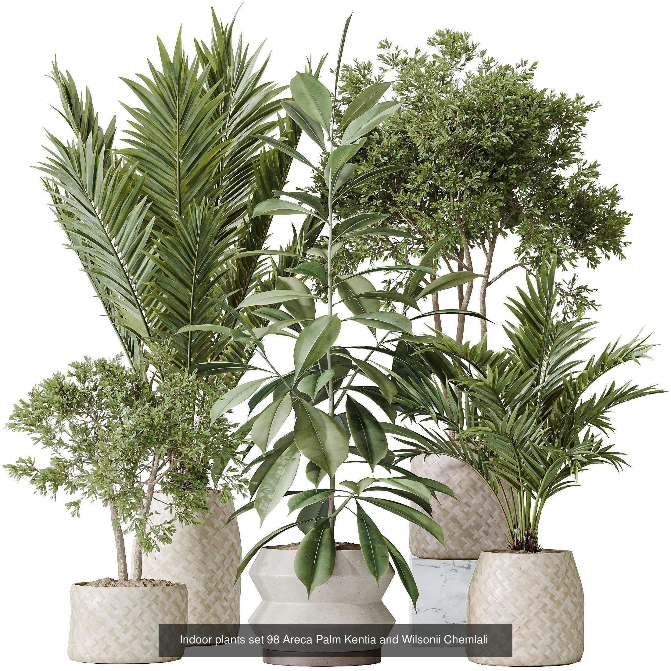 12 Different SETS of Plant Indoor SET VOL154 3D Model Collection_6