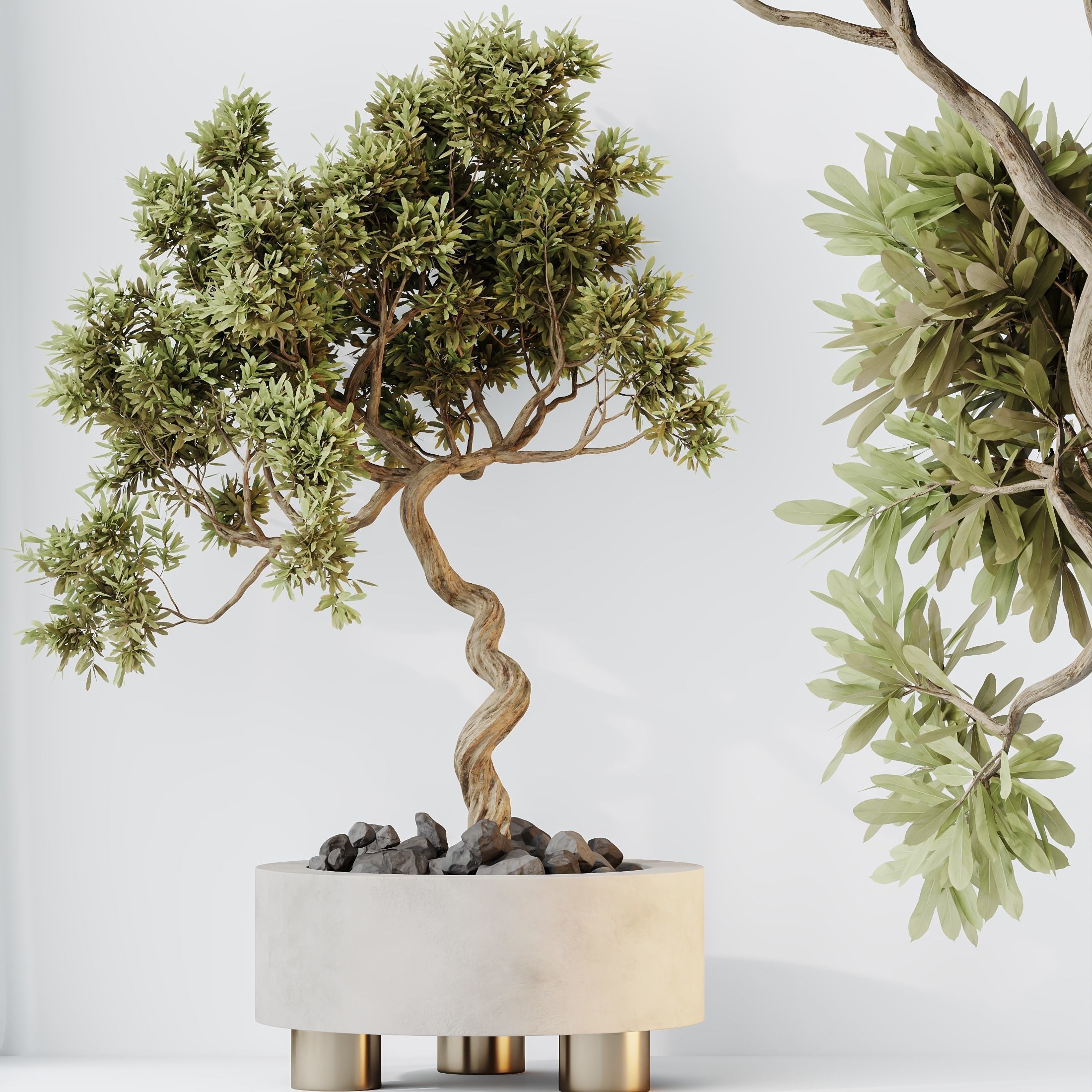 12 Different SETS of Plant Indoor SET VOL154 3D Model Collection_37