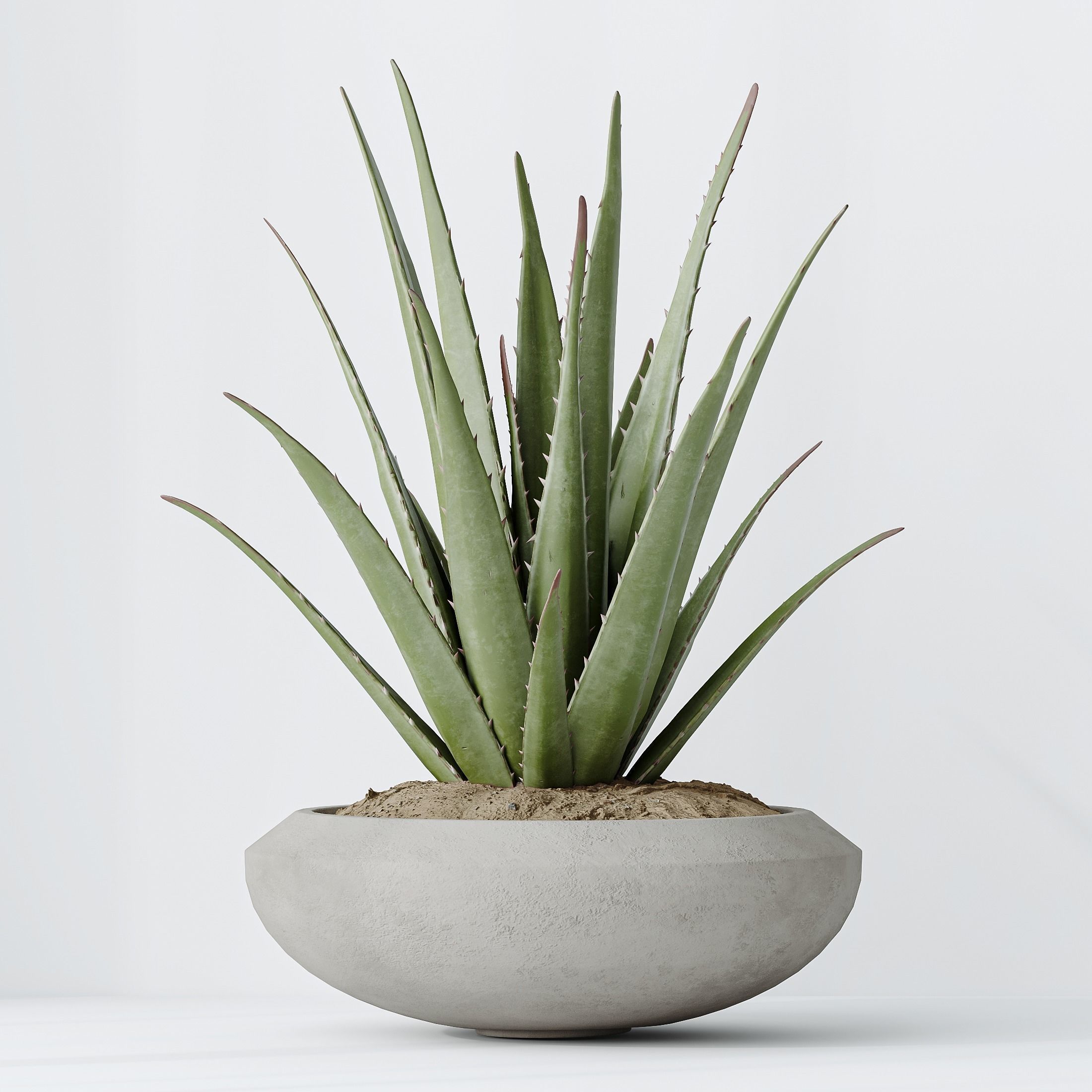 12 Different SETS of Plant Indoor SET VOL154 3D Model Collection_28