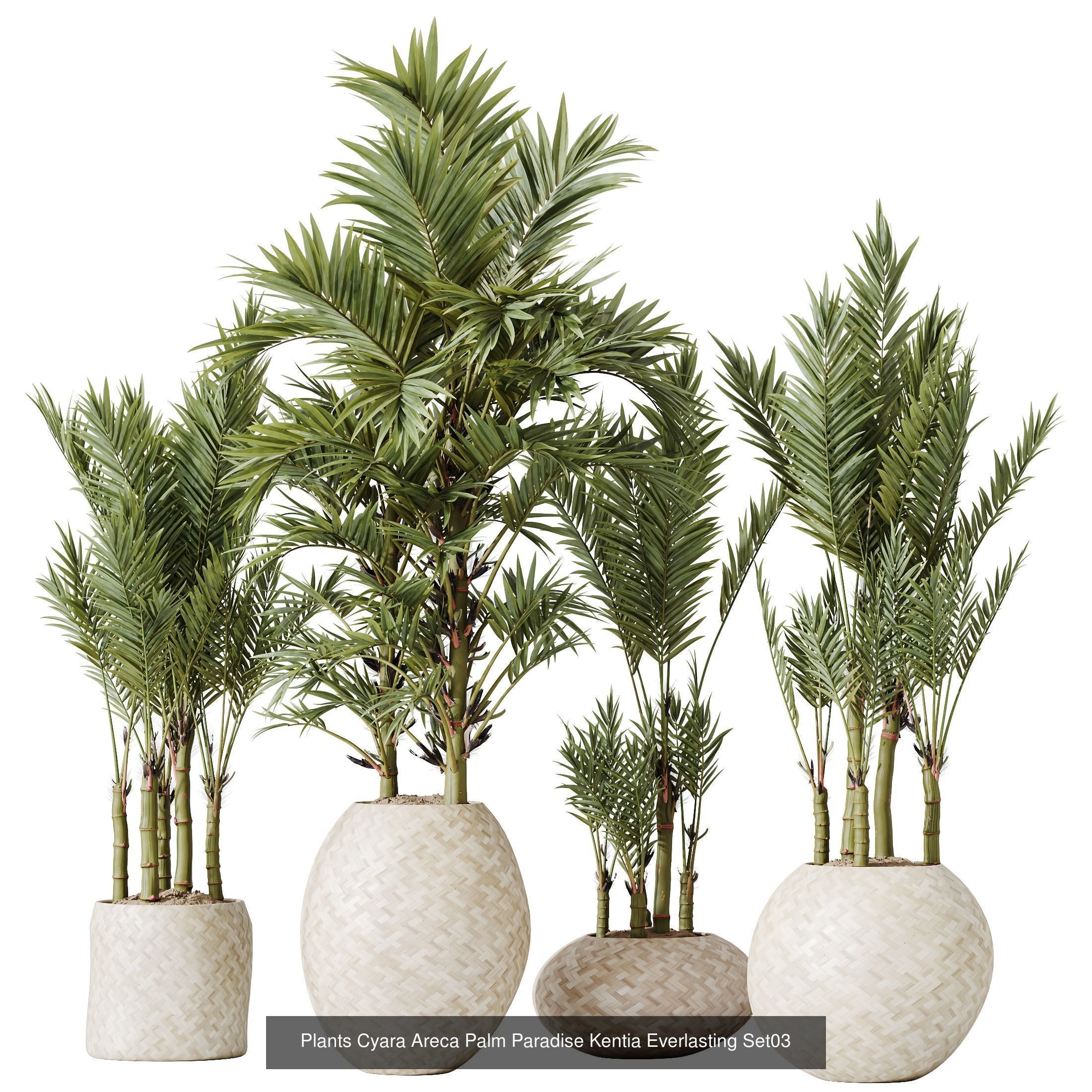 12 Different SETS of Plant Indoor SET VOL154 3D Model Collection_5