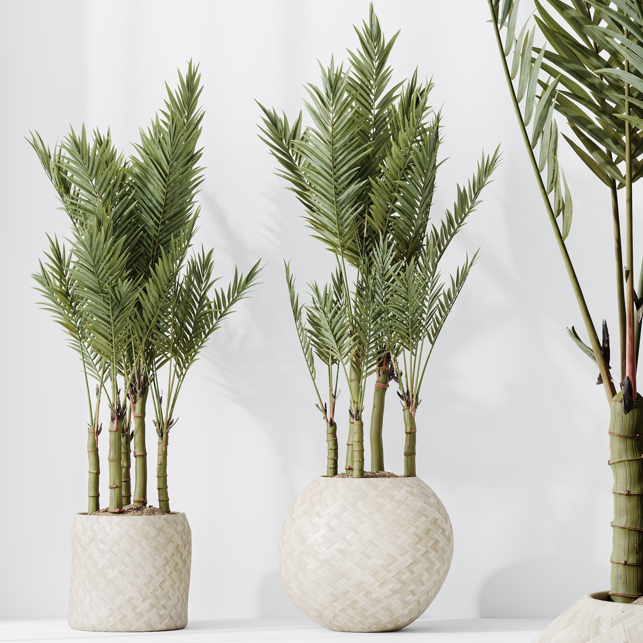 12 Different SETS of Plant Indoor SET VOL154 3D Model Collection_35