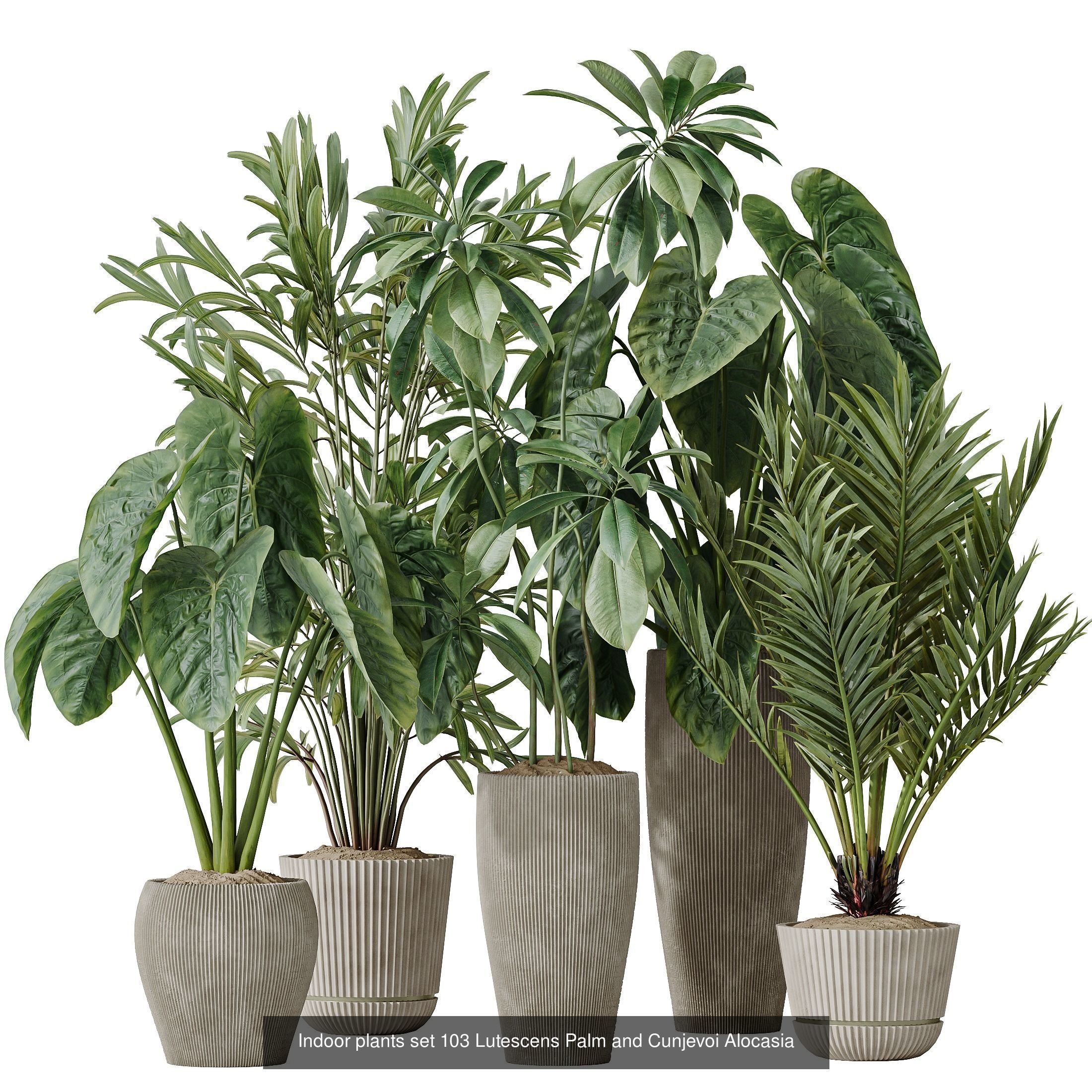 12 Different SETS of Plant Indoor SET VOL154 3D Model Collection_10