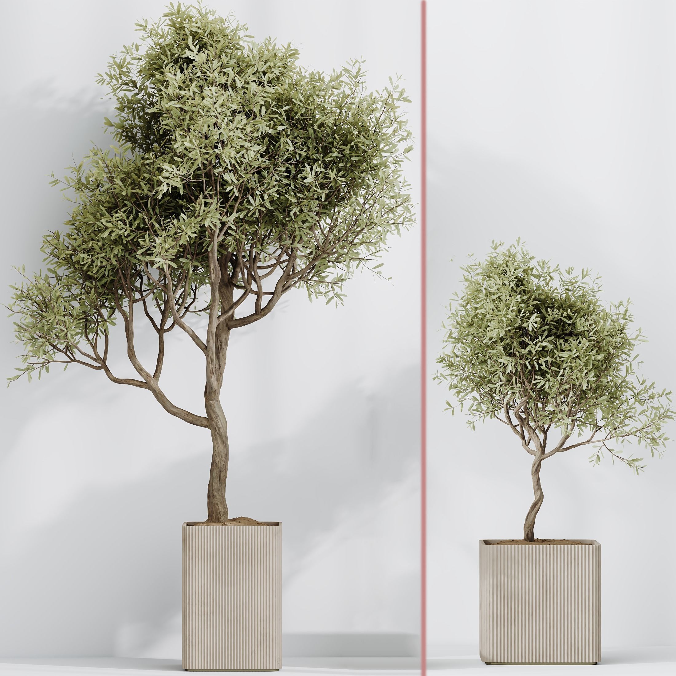 12 Different SETS of Plant Indoor SET VOL154 3D Model Collection_20