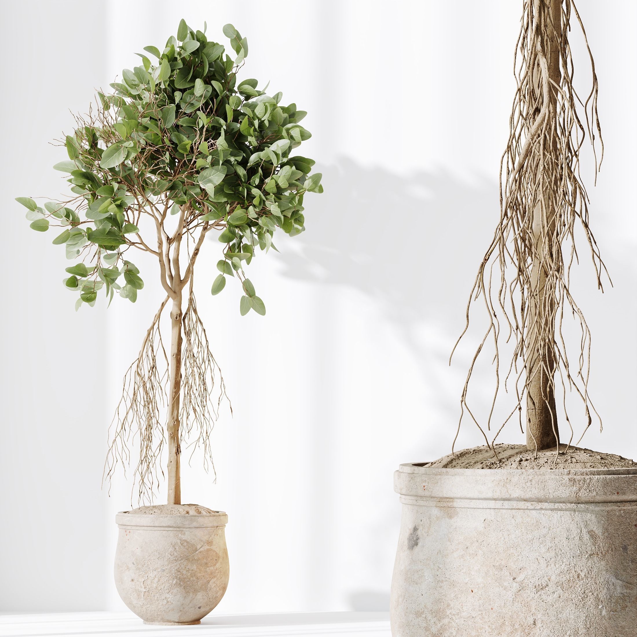 12 Different SETS of Plant Indoor SET VOL154 3D Model Collection_40