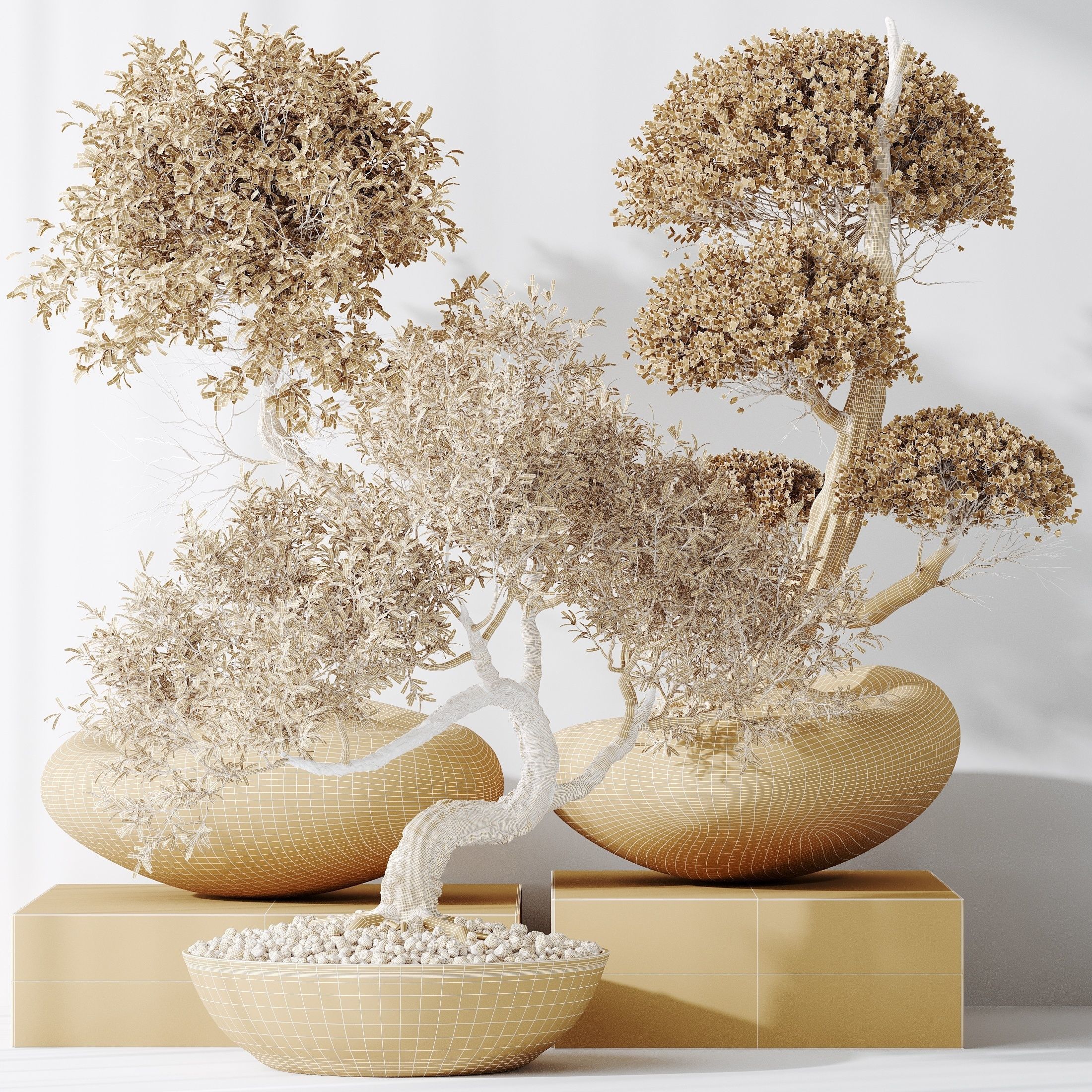 12 Different SETS of Plant Indoor SET VOL154 3D Model Collection_62