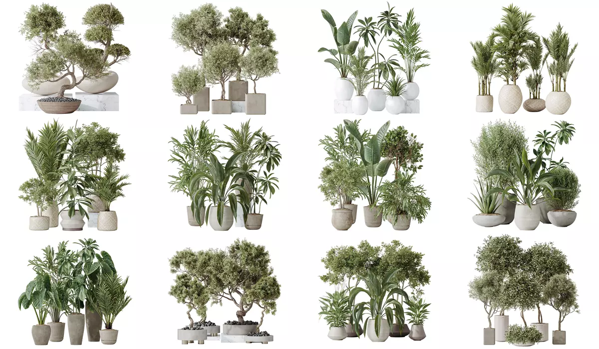 12 Different SETS of Plant Indoor SET VOL154 3D Model Collection_0
